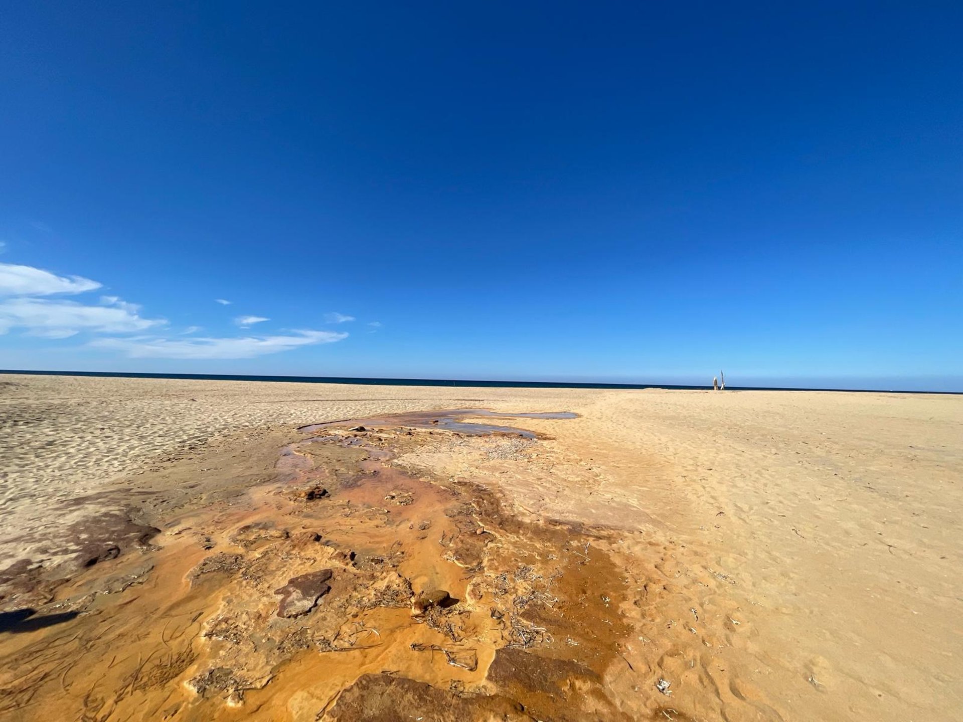 gray computer monitor