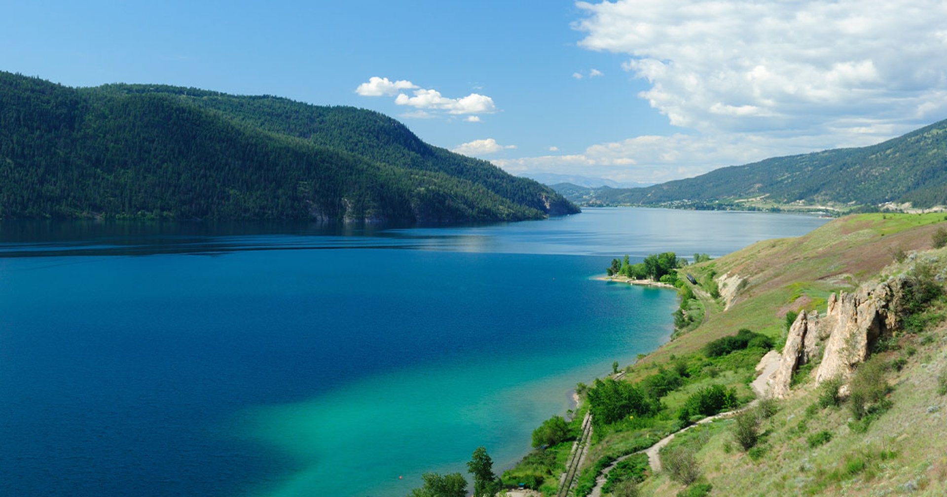 green trees near lake during daytime