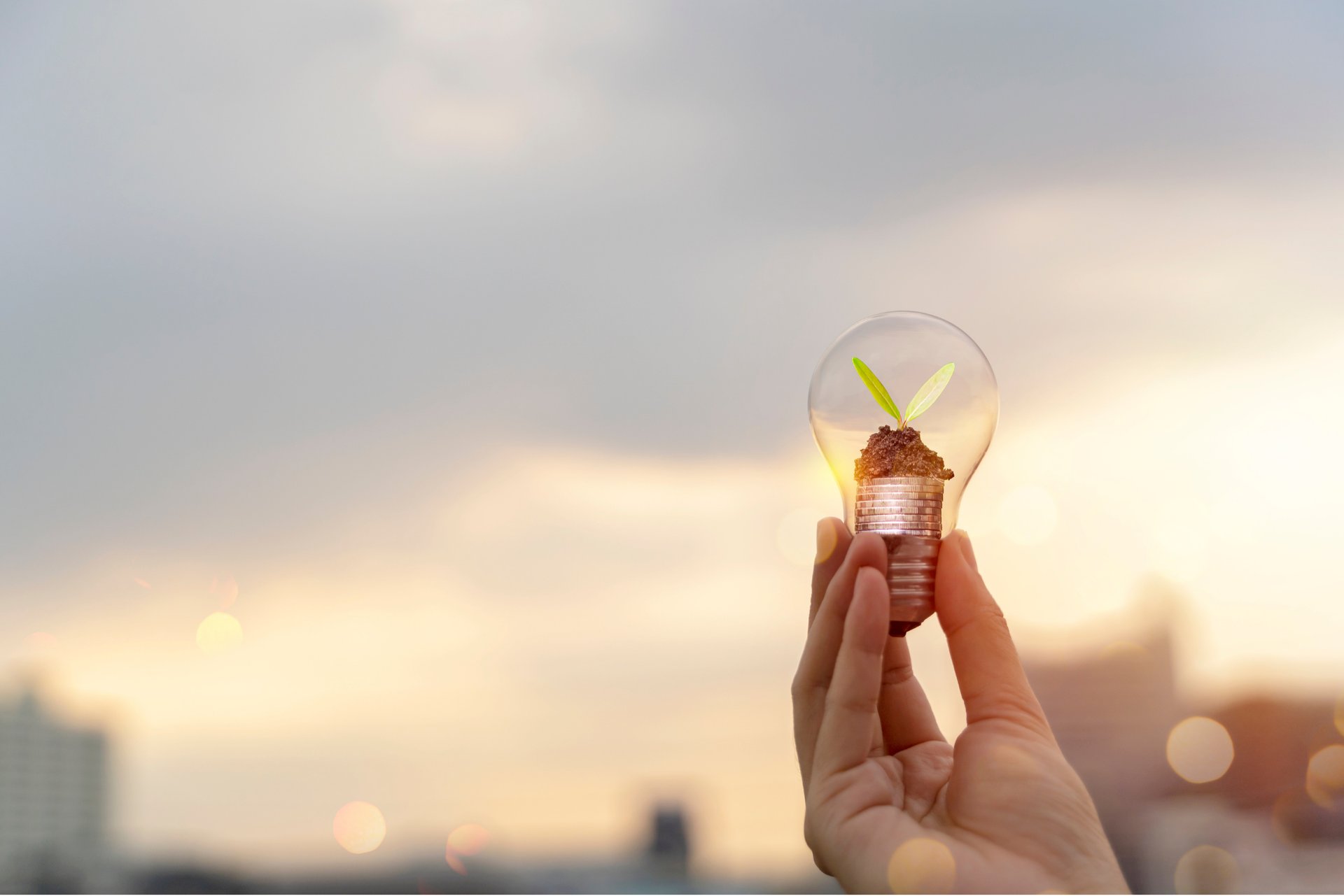 Foco con planta verde en el interior, símbolo de crecimiento financiero y hábitos de ahorro e inversión