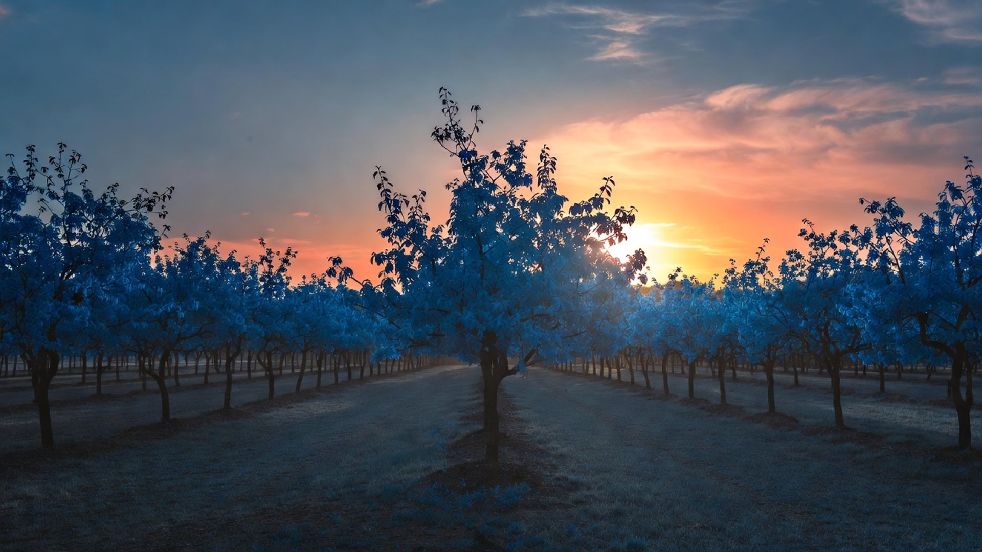 ocean waves crashing on shore during daytime