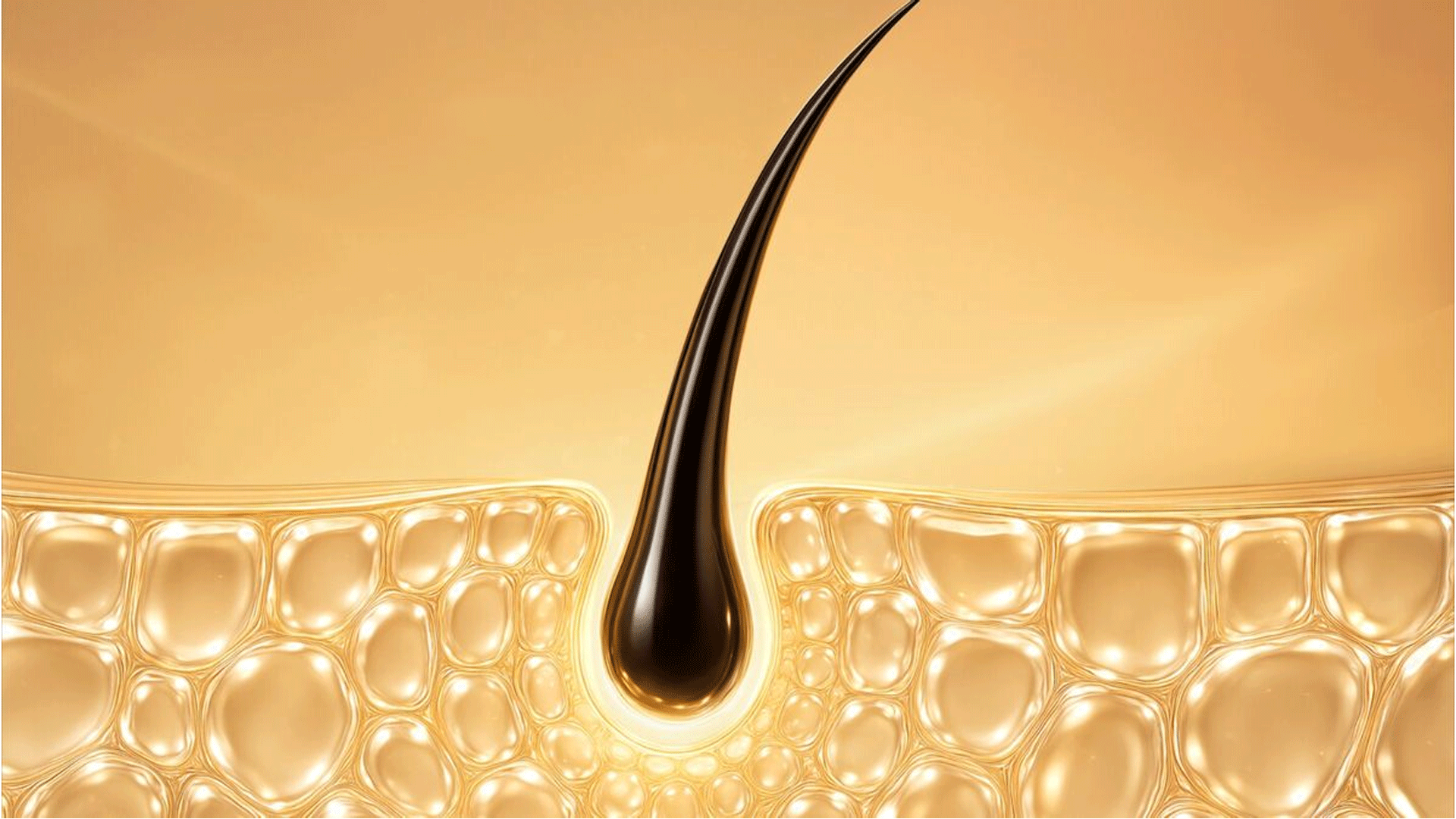 an abstract photo of a curved building with a blue sky in the background