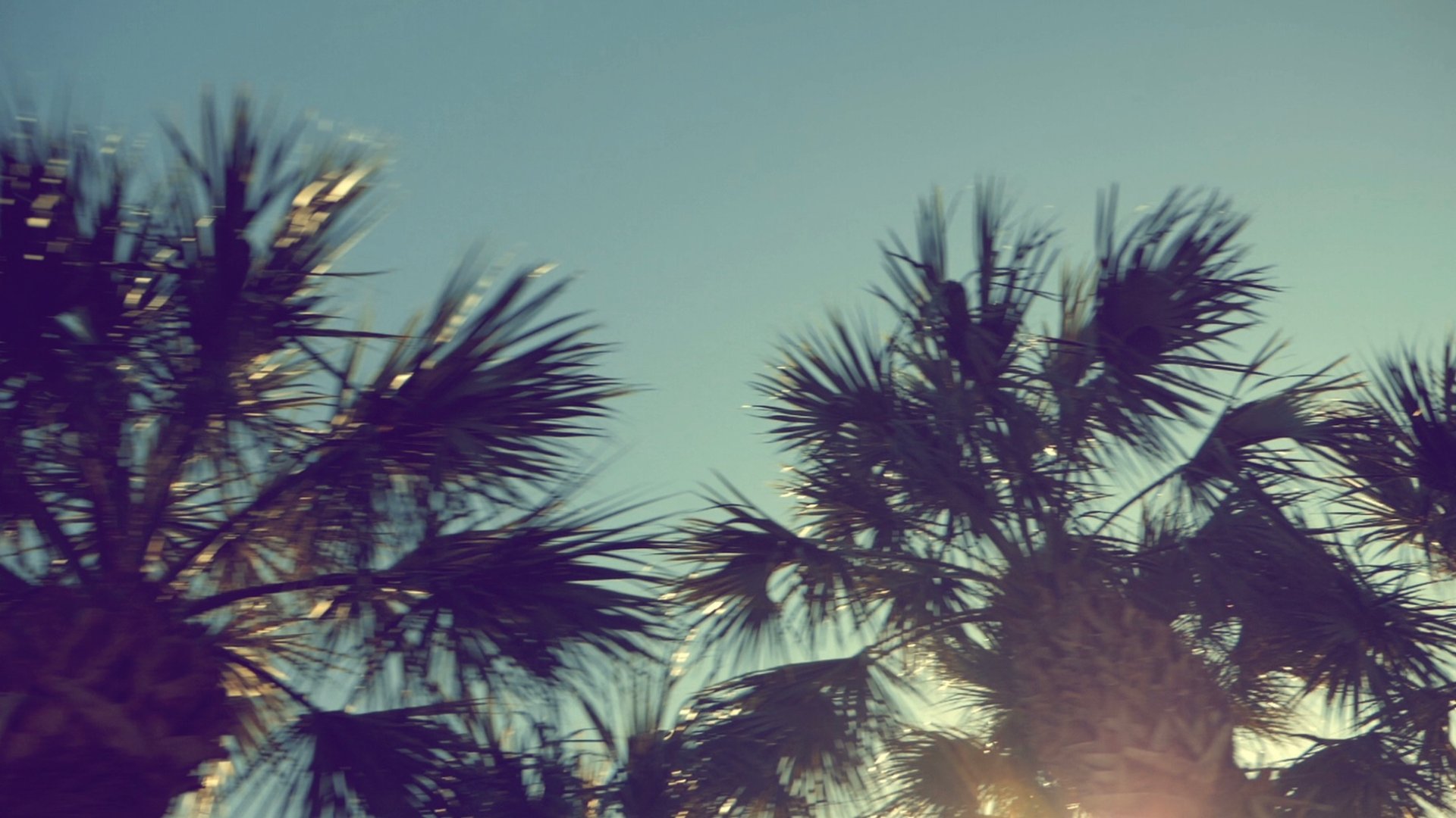 an abstract photo of a curved building with a blue sky in the background