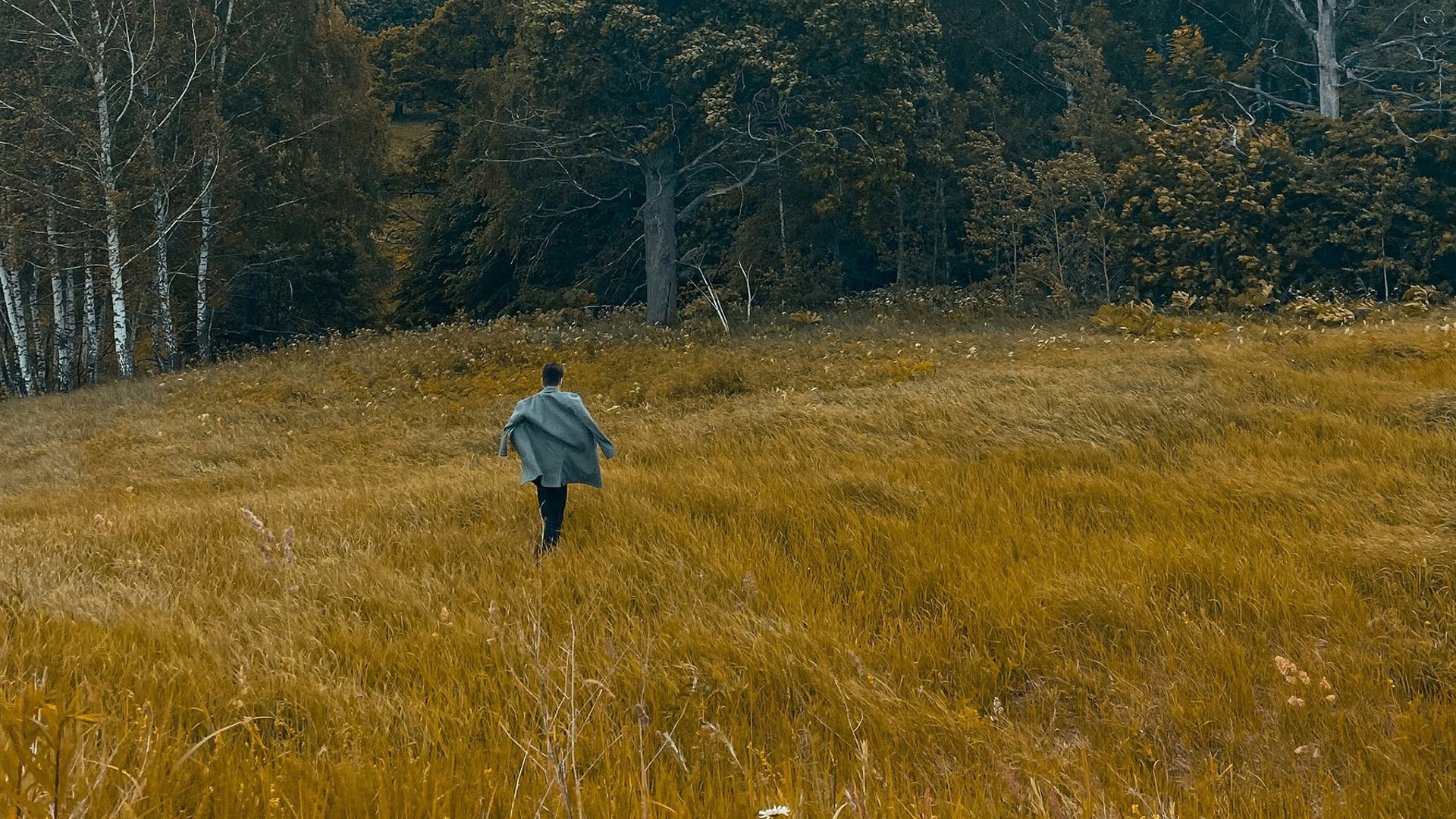 an abstract photo of a curved building with a blue sky in the background