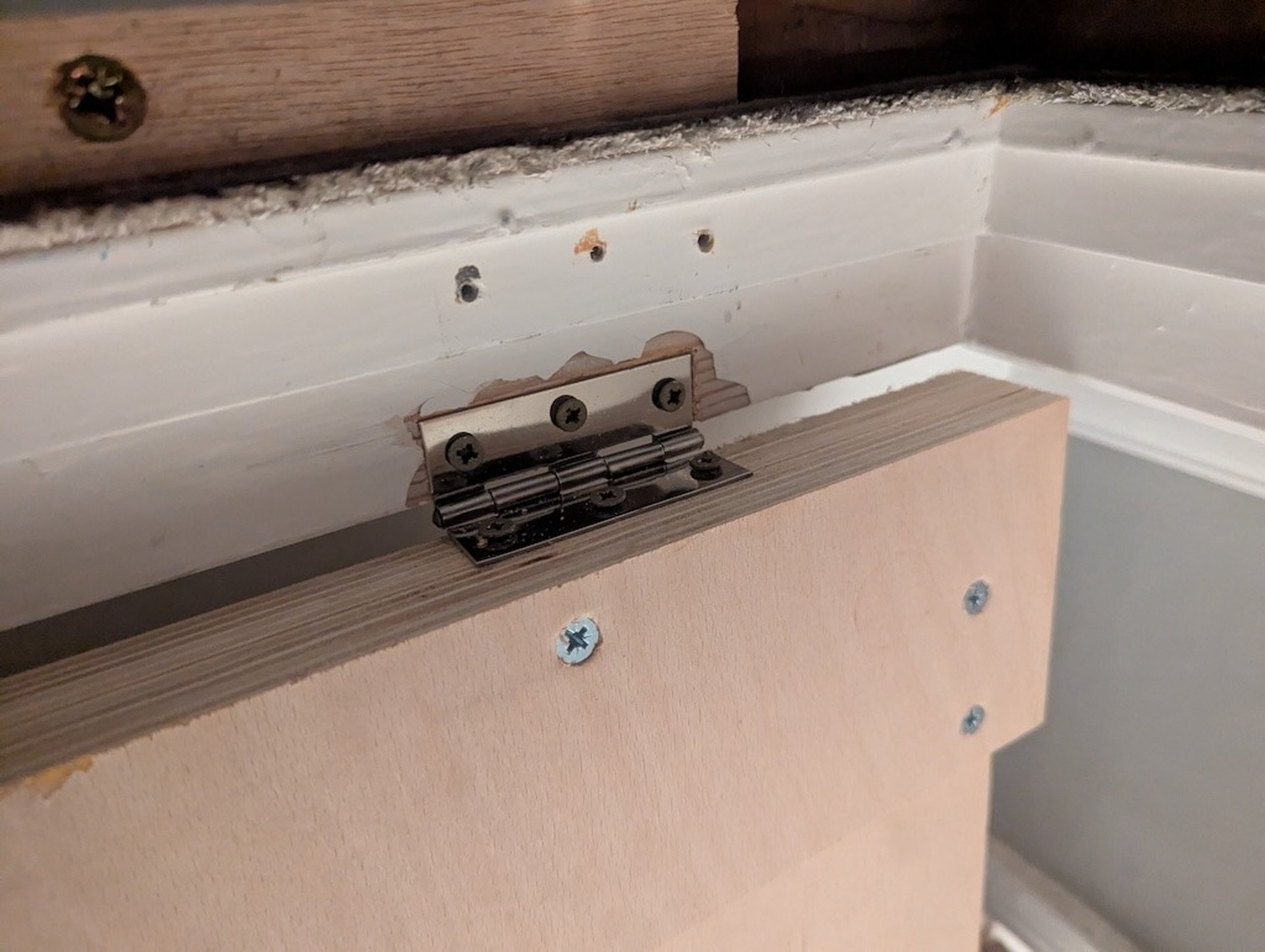 blue and orange color illustration