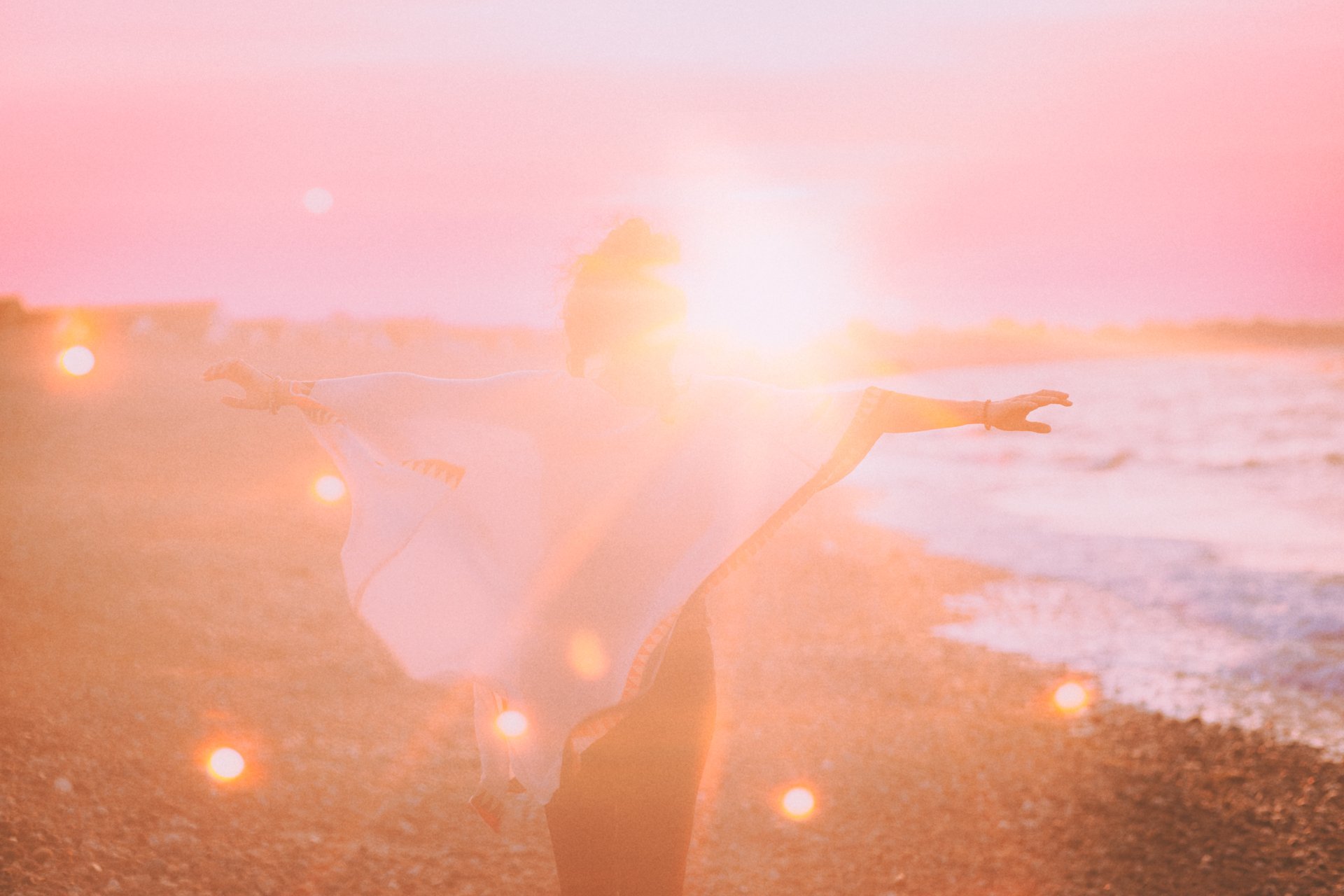 silhouette of trees during sunset