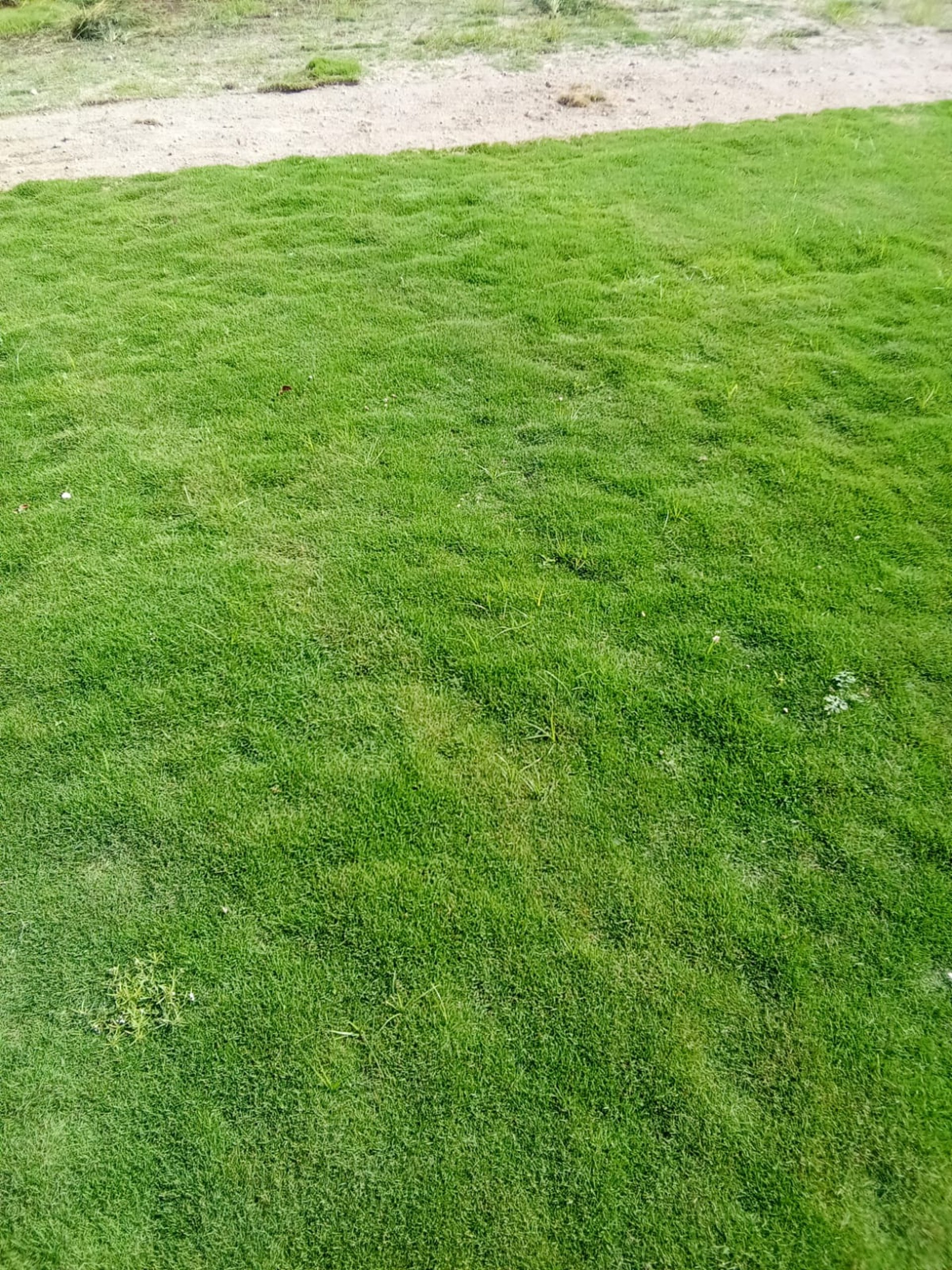 person wearing grey knit sweater