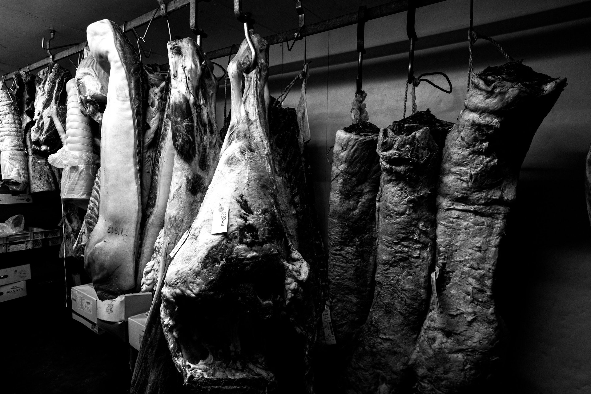 gray computer monitor