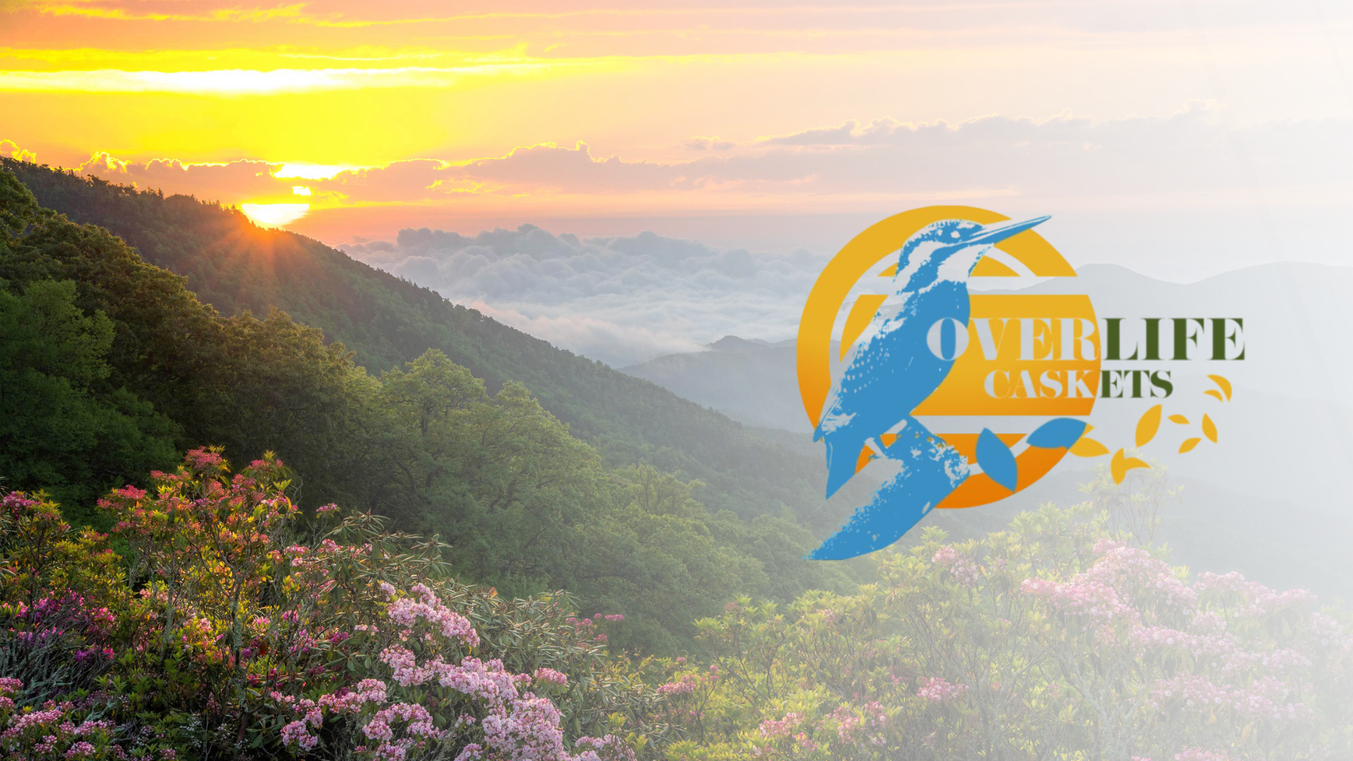 woman holding dried flower