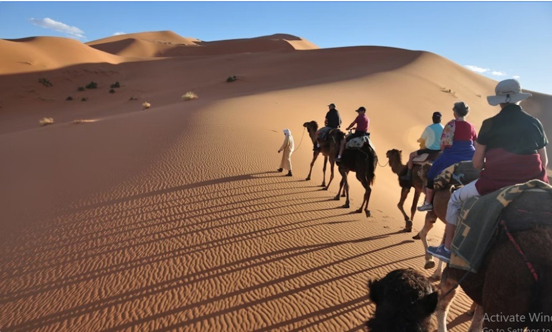 Sunset over the vast dunes of the Sahara desert, with a camel caravan in silhouette. hbi travel and tours