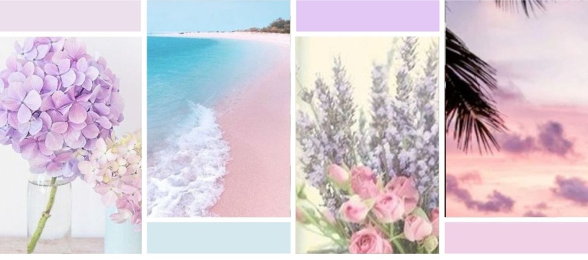 Fondo de colores distintivos de la paleta de Simple moments