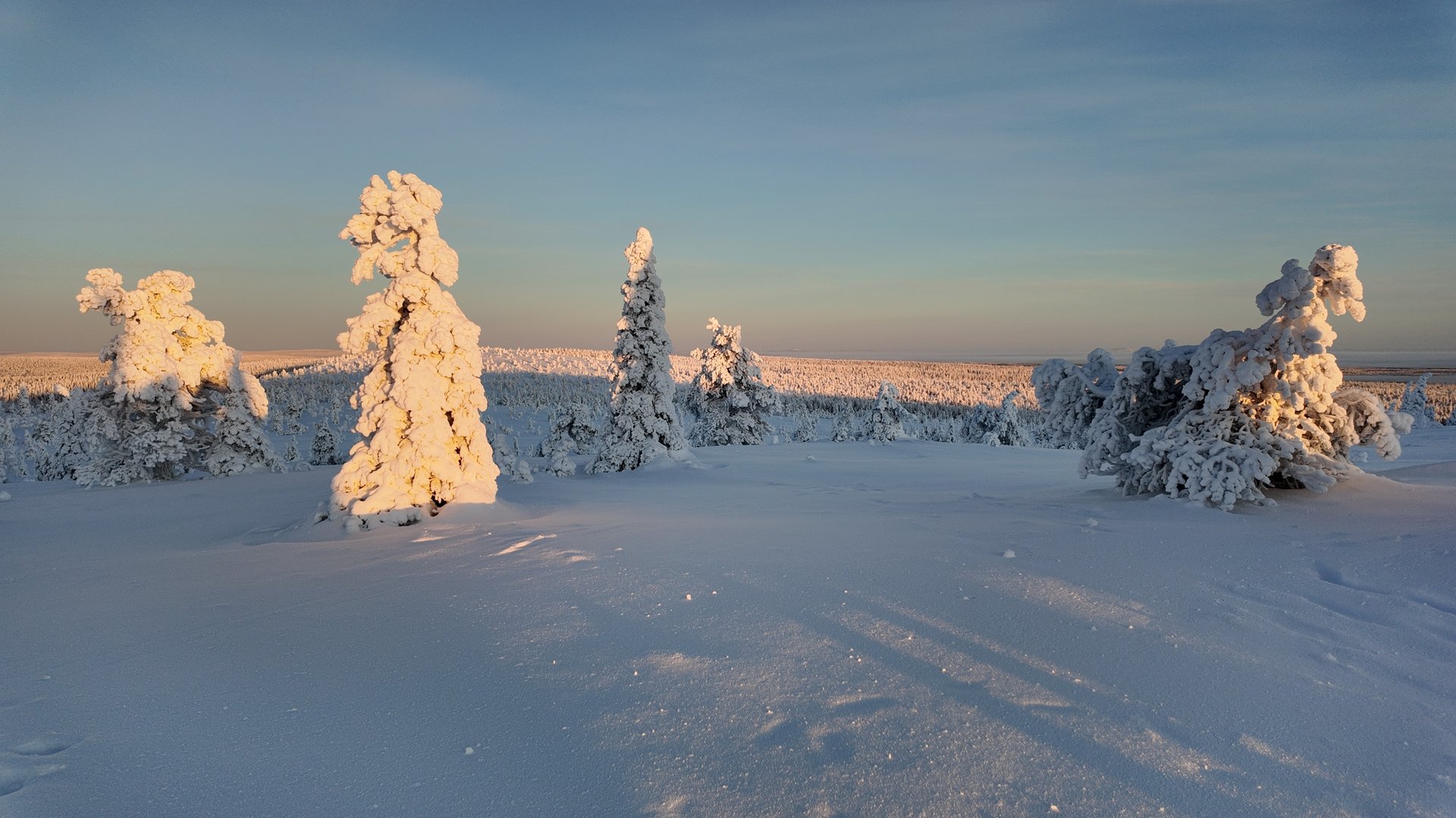 woman wearing yellow long-sleeved dress under white clouds and blue sky during daytime