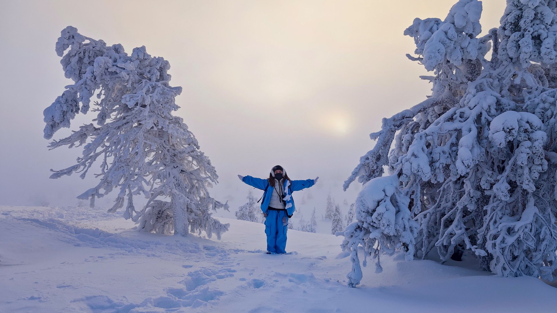 gray computer monitor