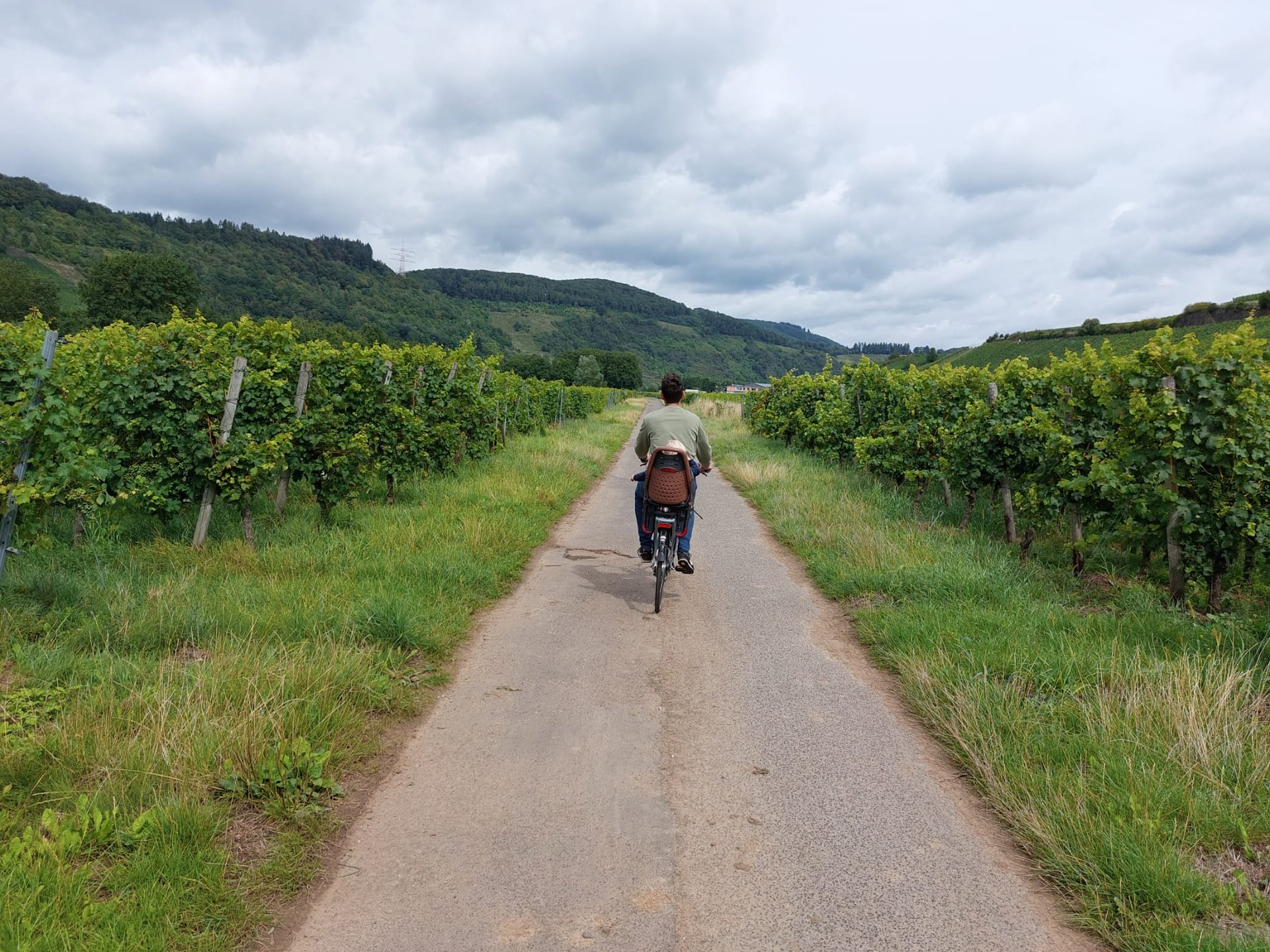 Two women toasting glasses of wine.