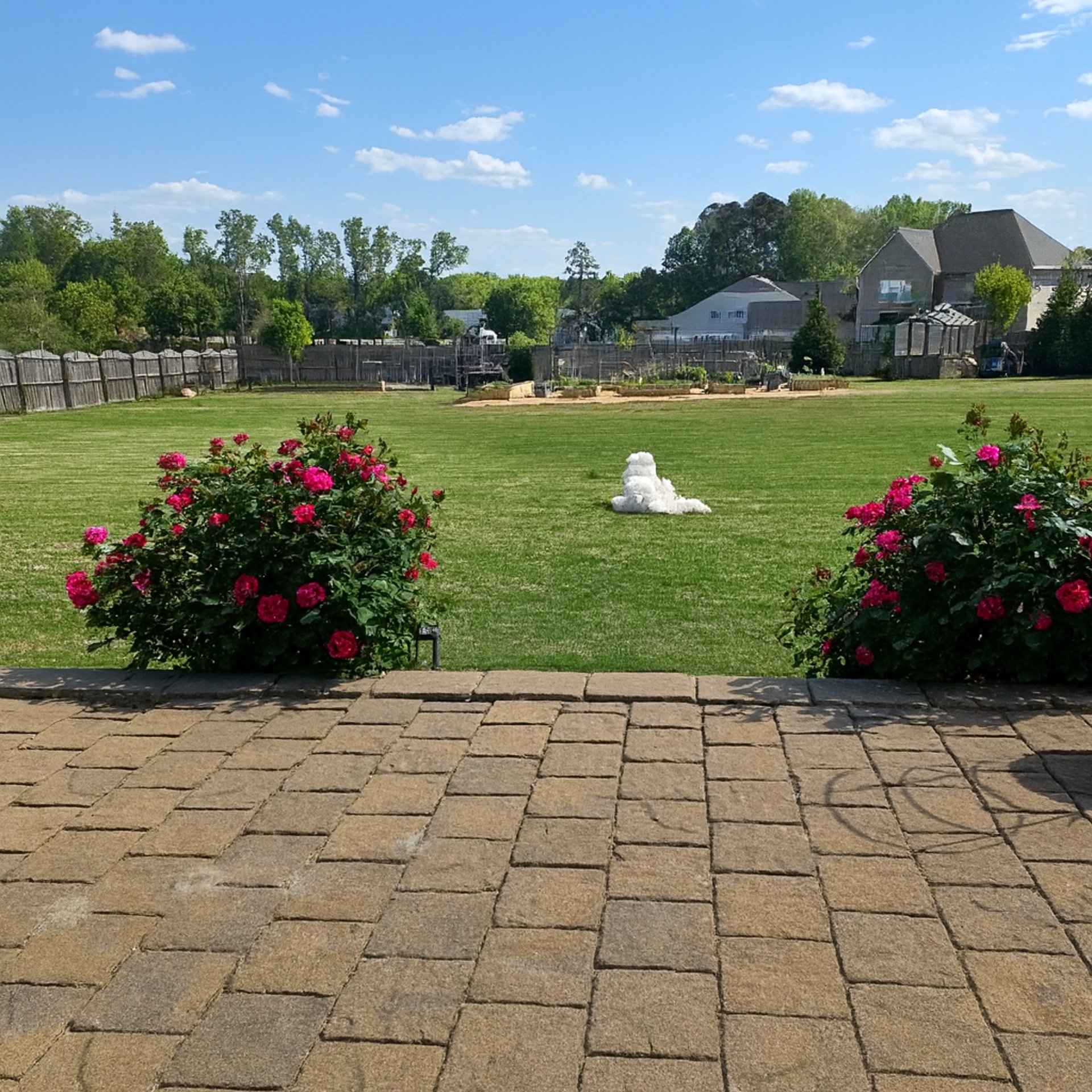 black and white bed linen