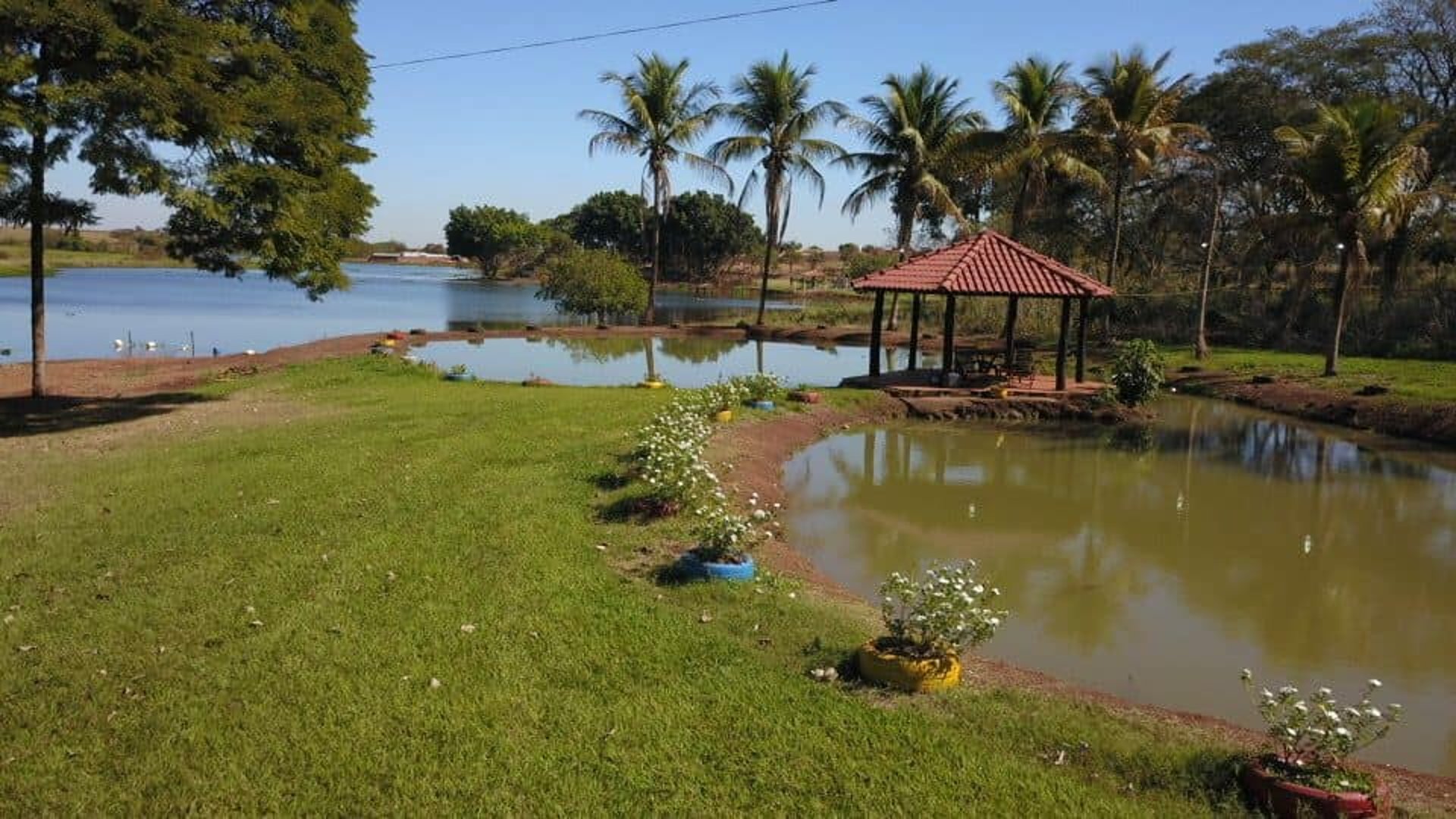 lago pesque e solte - Rancho do Neneco - Rancho para alugar em Miguelópolis SP