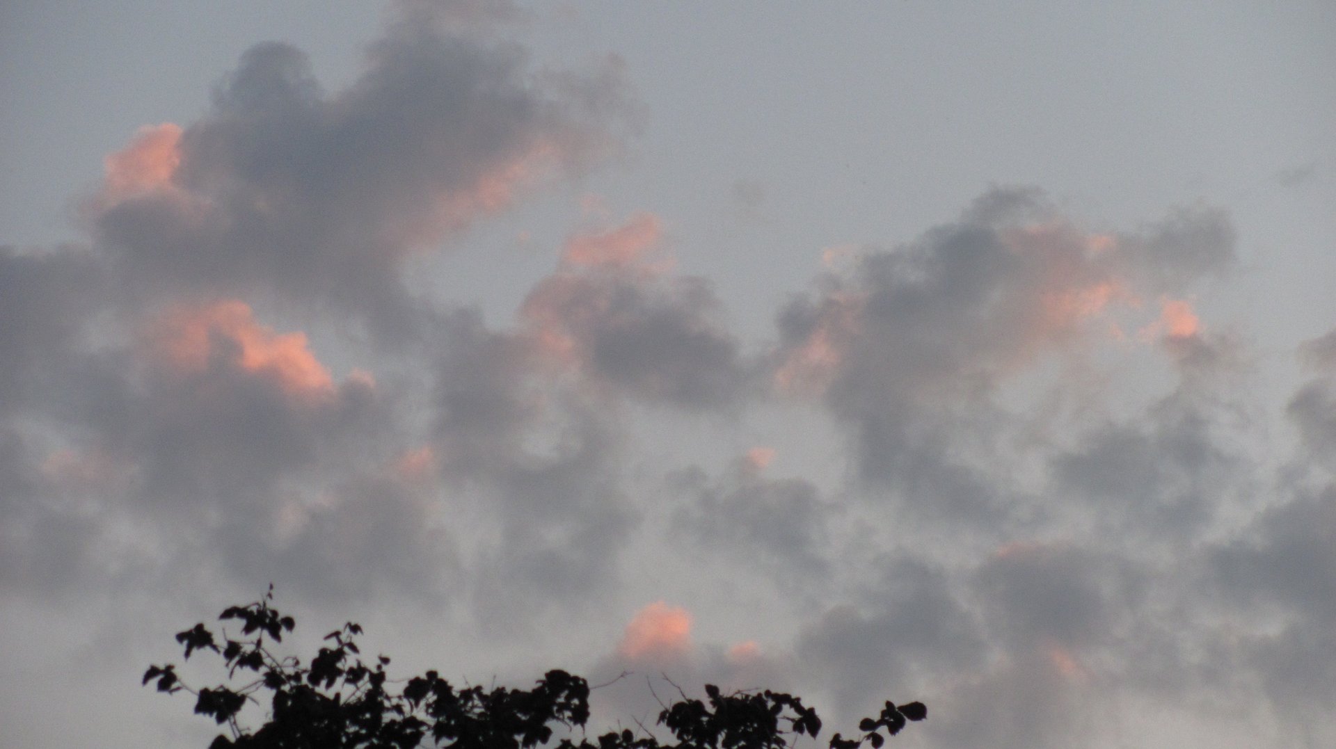 black and brown leather padded tub sofa