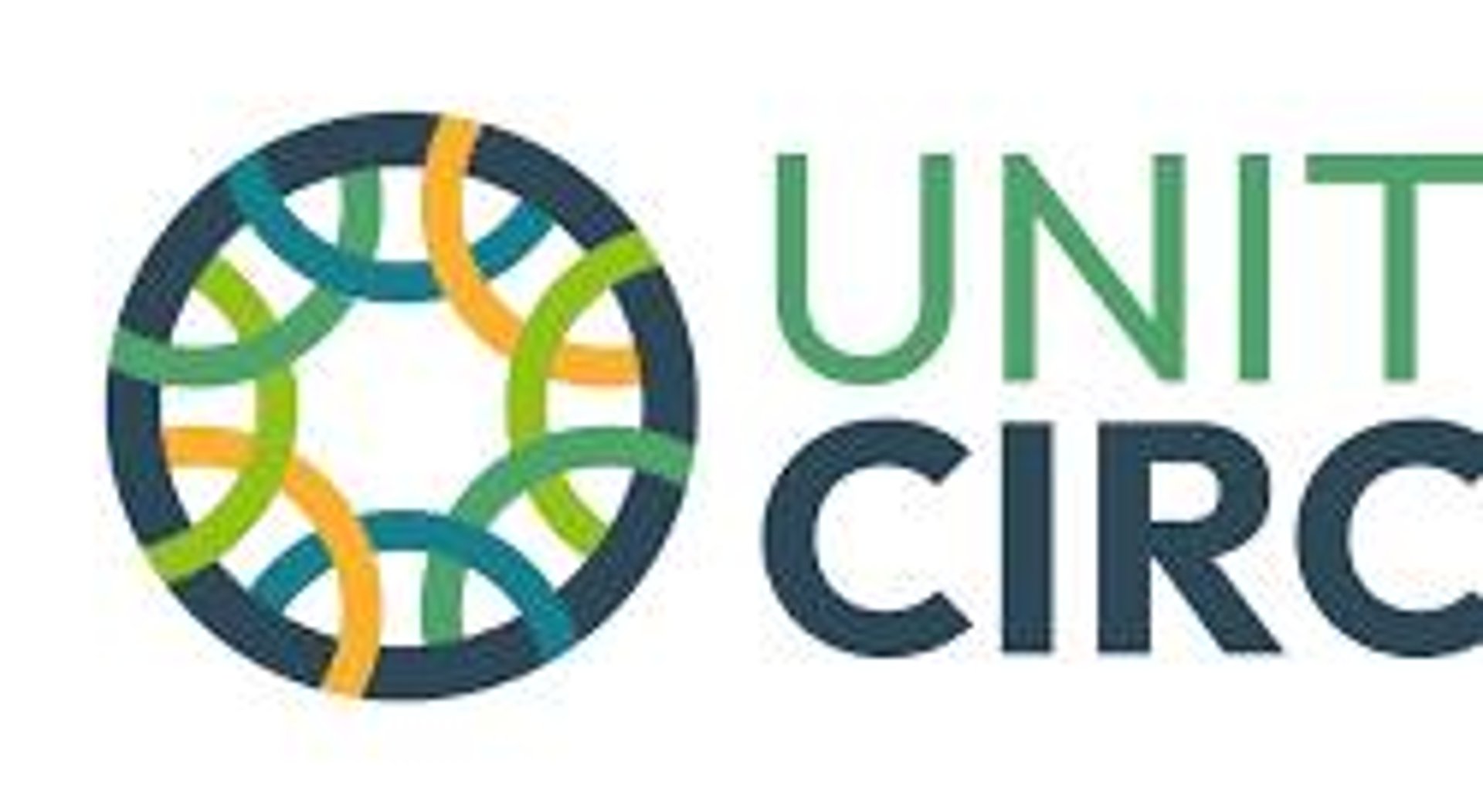 low angle photography of green trees during daytime