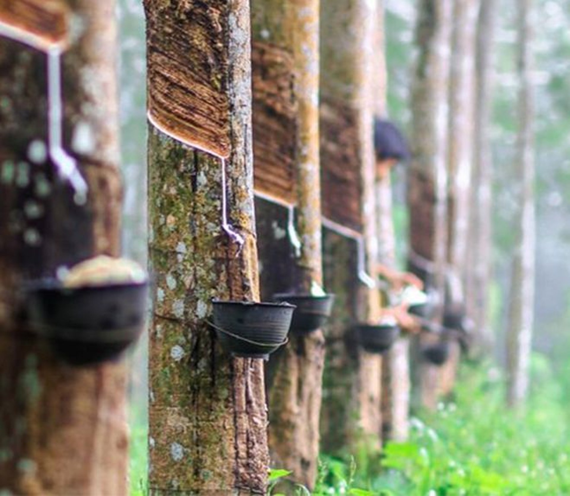 black and white bed linen