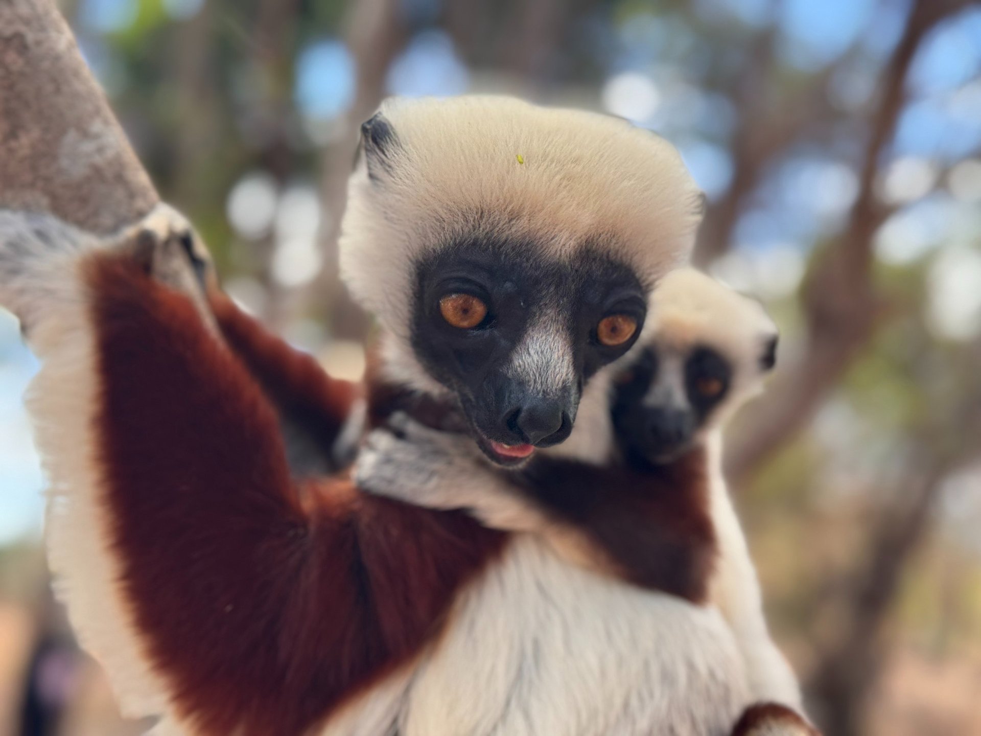 black and white bed linen