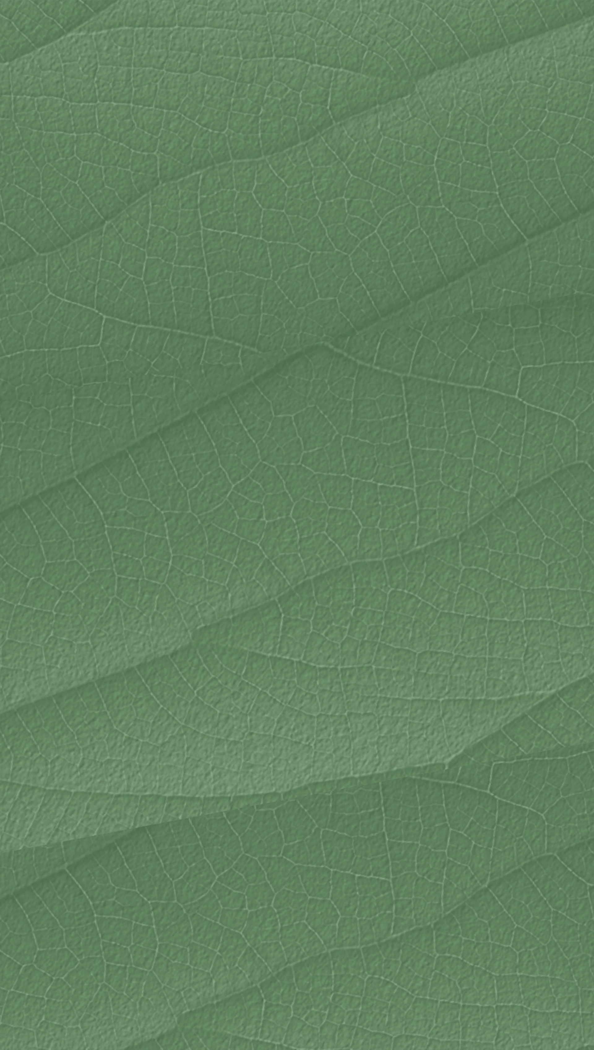 person wearing grey knit sweater