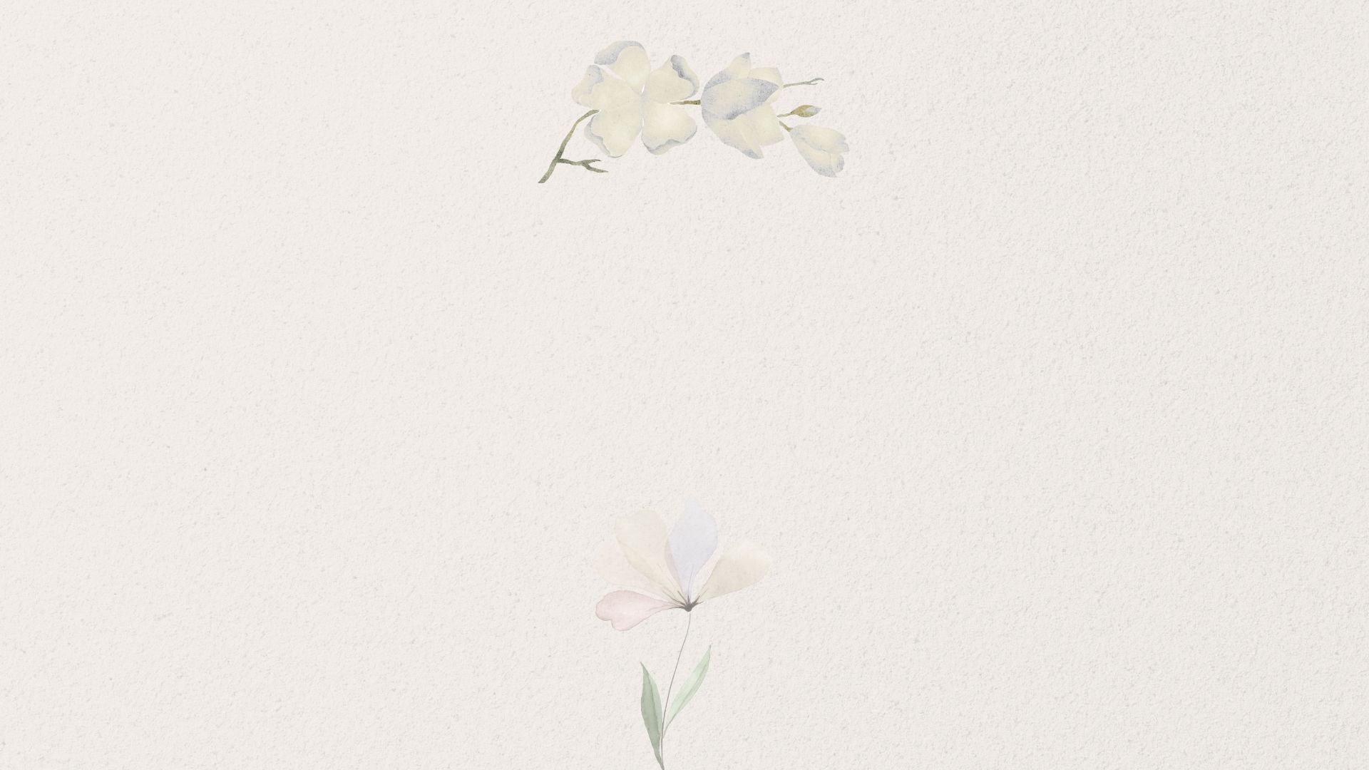 couple wearing silver-colored rings