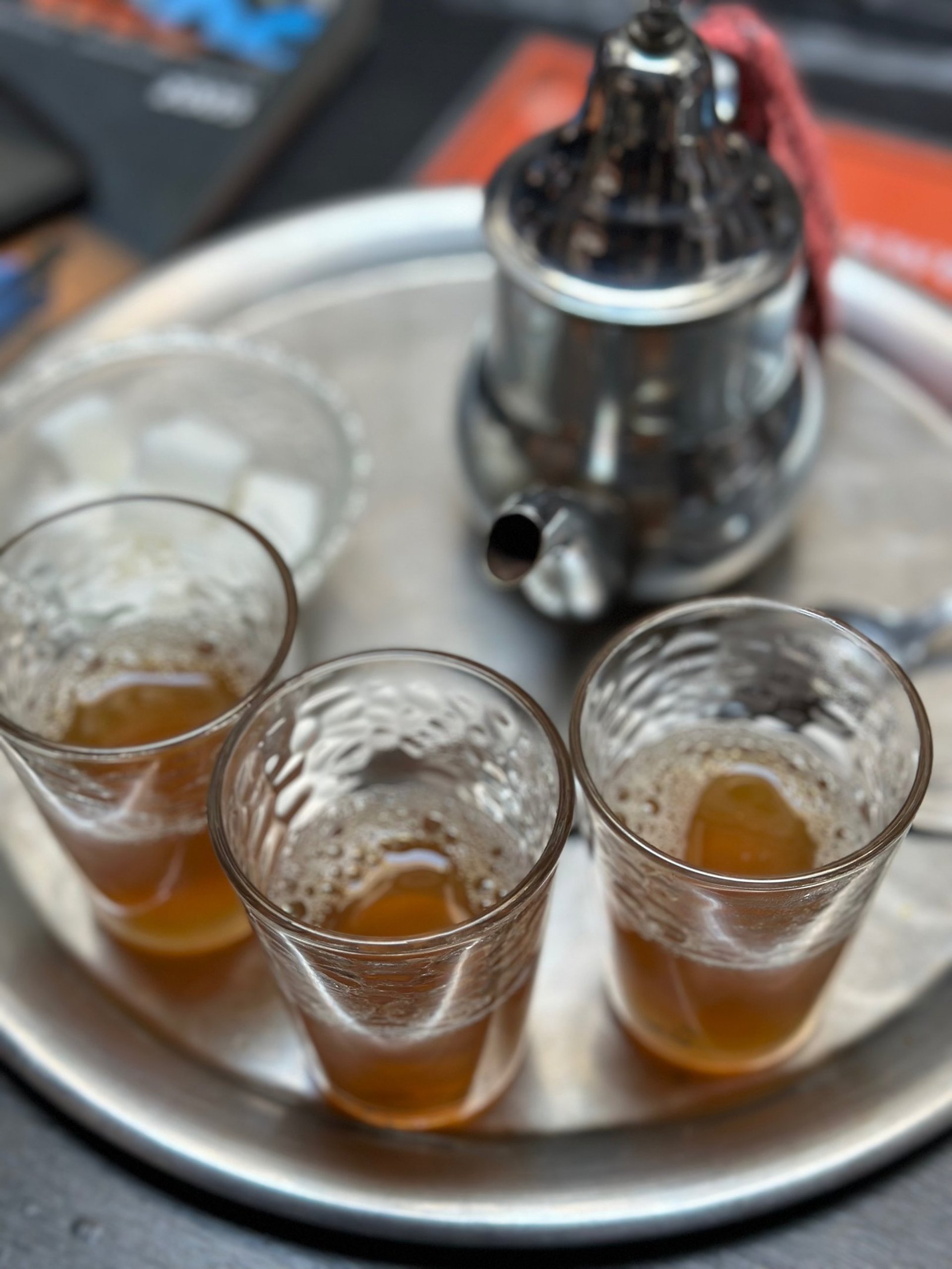 green cactus plant on brown clay pot