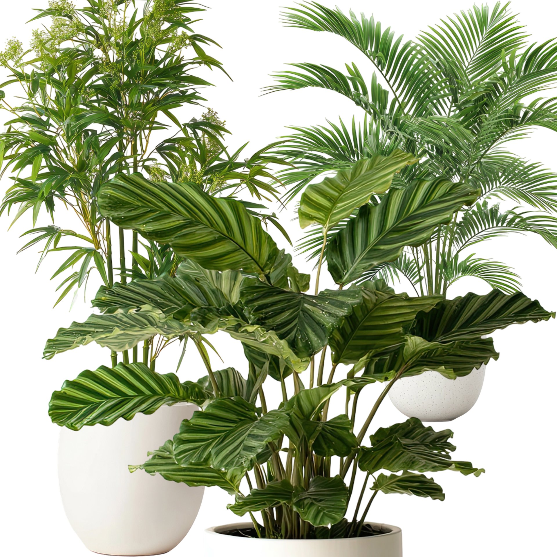 green leaves