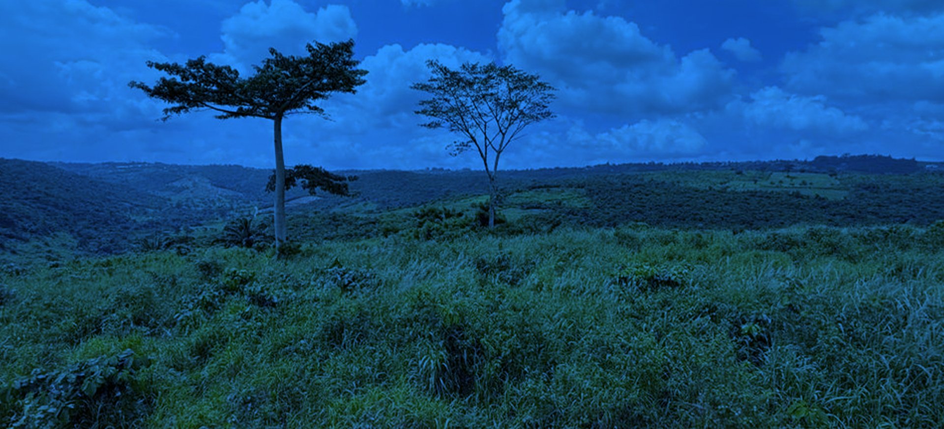 black and brown leather padded tub sofa