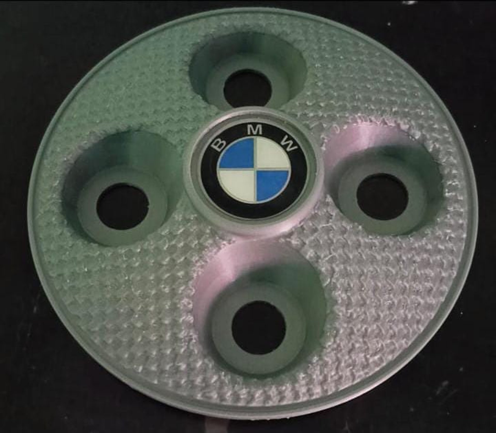 woman holding dried flower