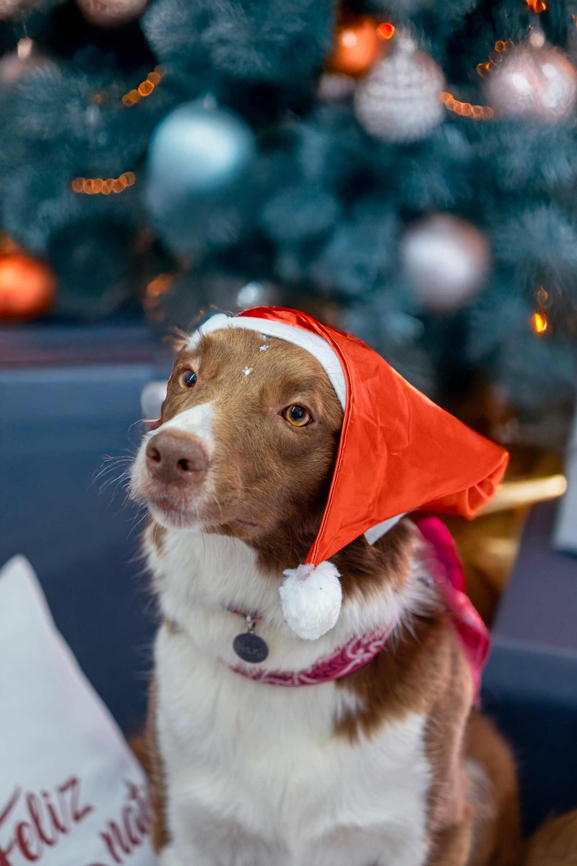 gray computer monitor