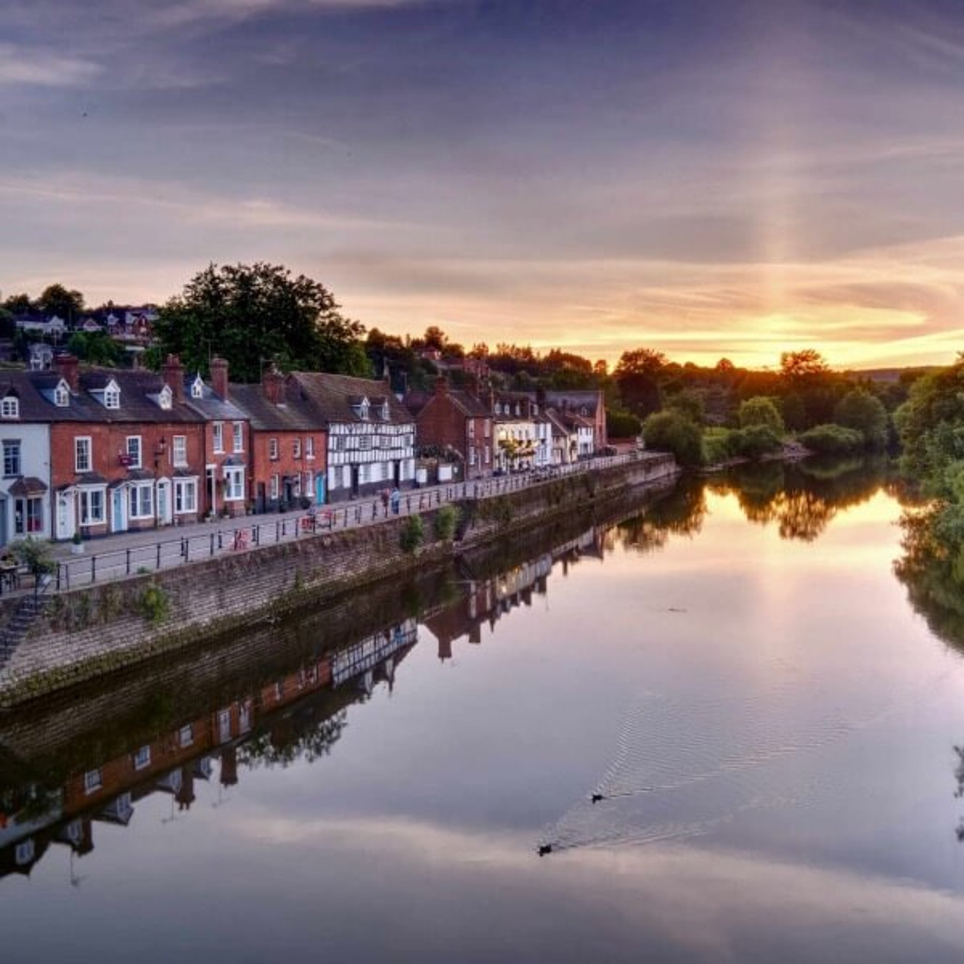 aerial photography of forest