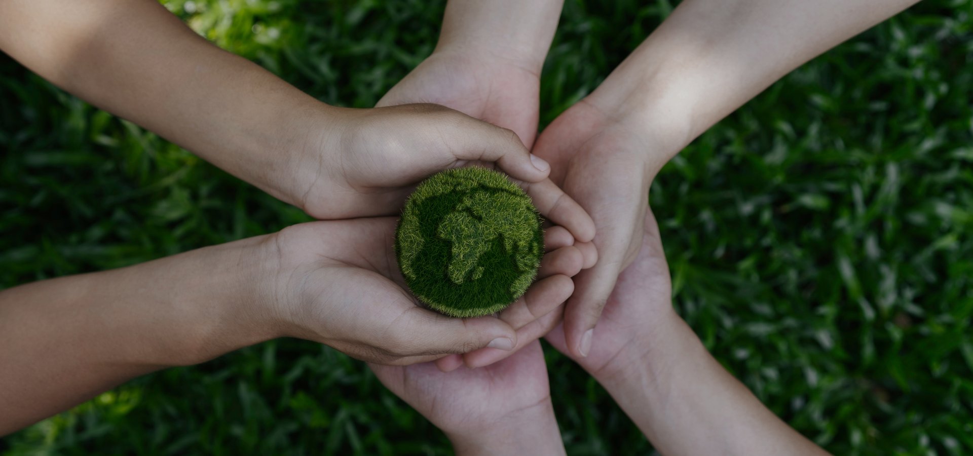 an abstract photo of a curved building with a blue sky in the background