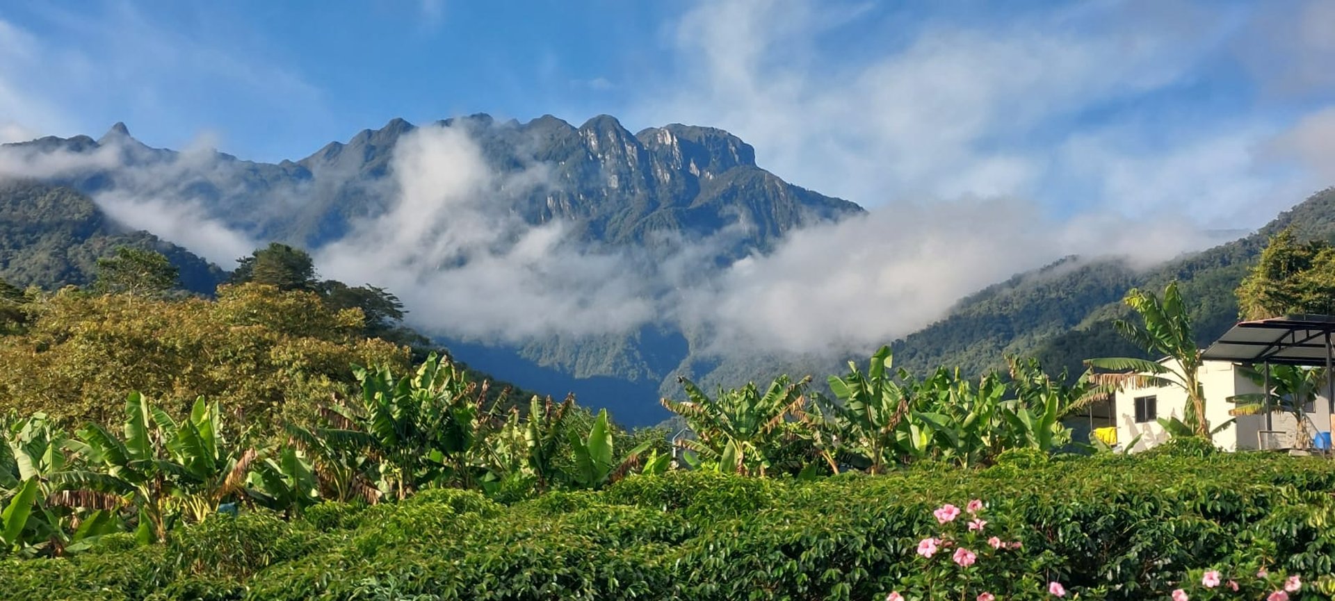 black and white bed linen