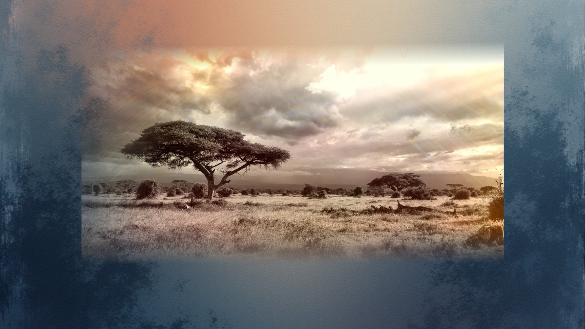 gray computer monitor