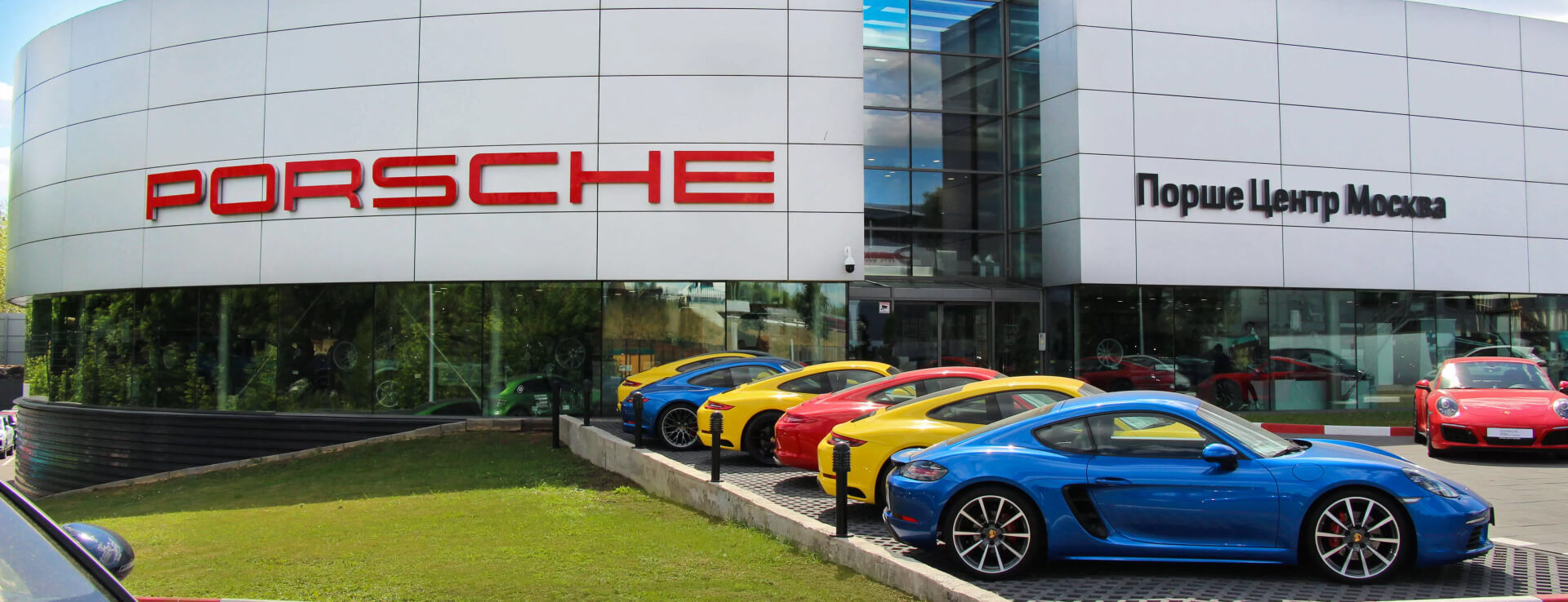 green trees in glass building