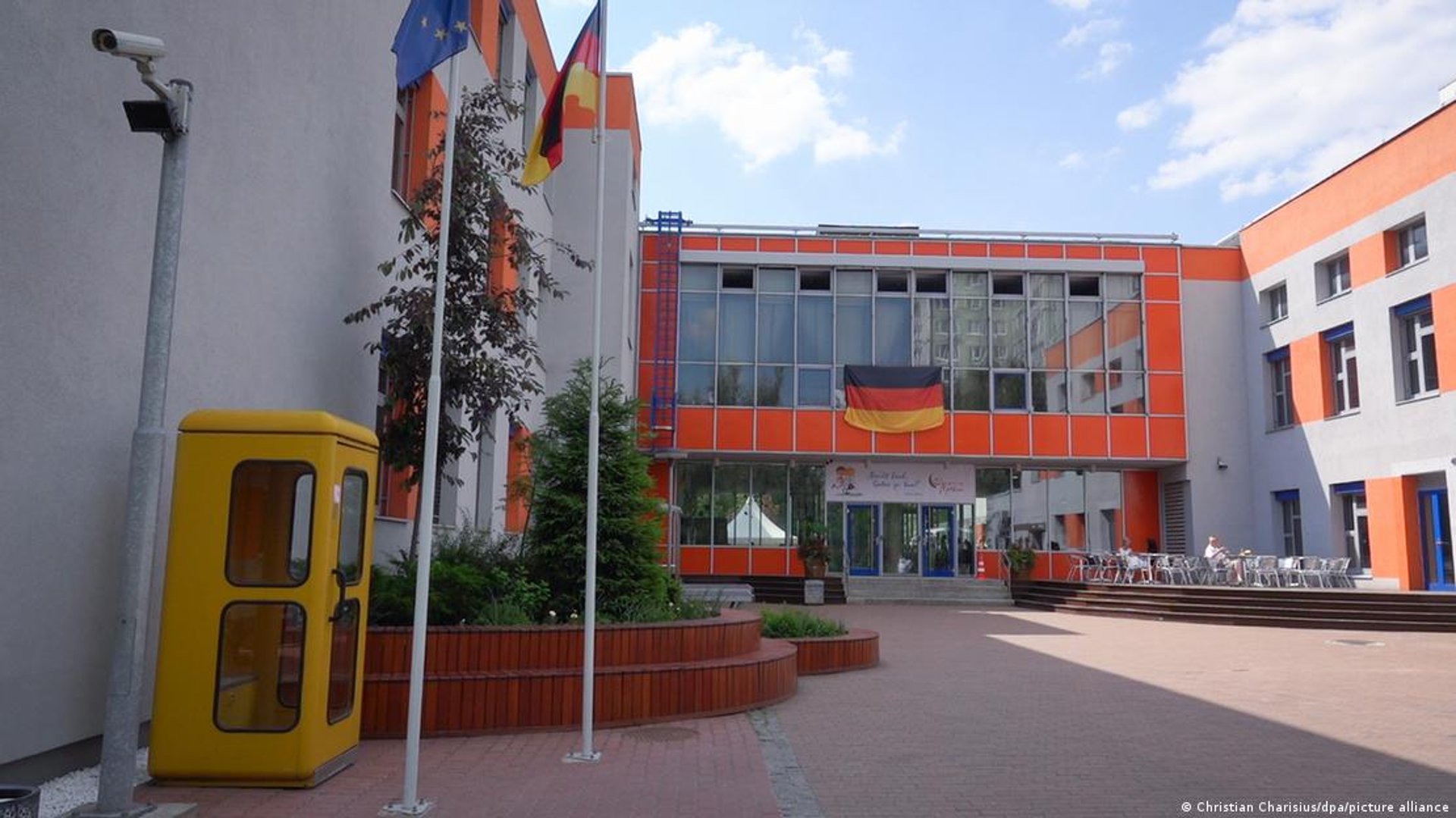 green trees in glass building