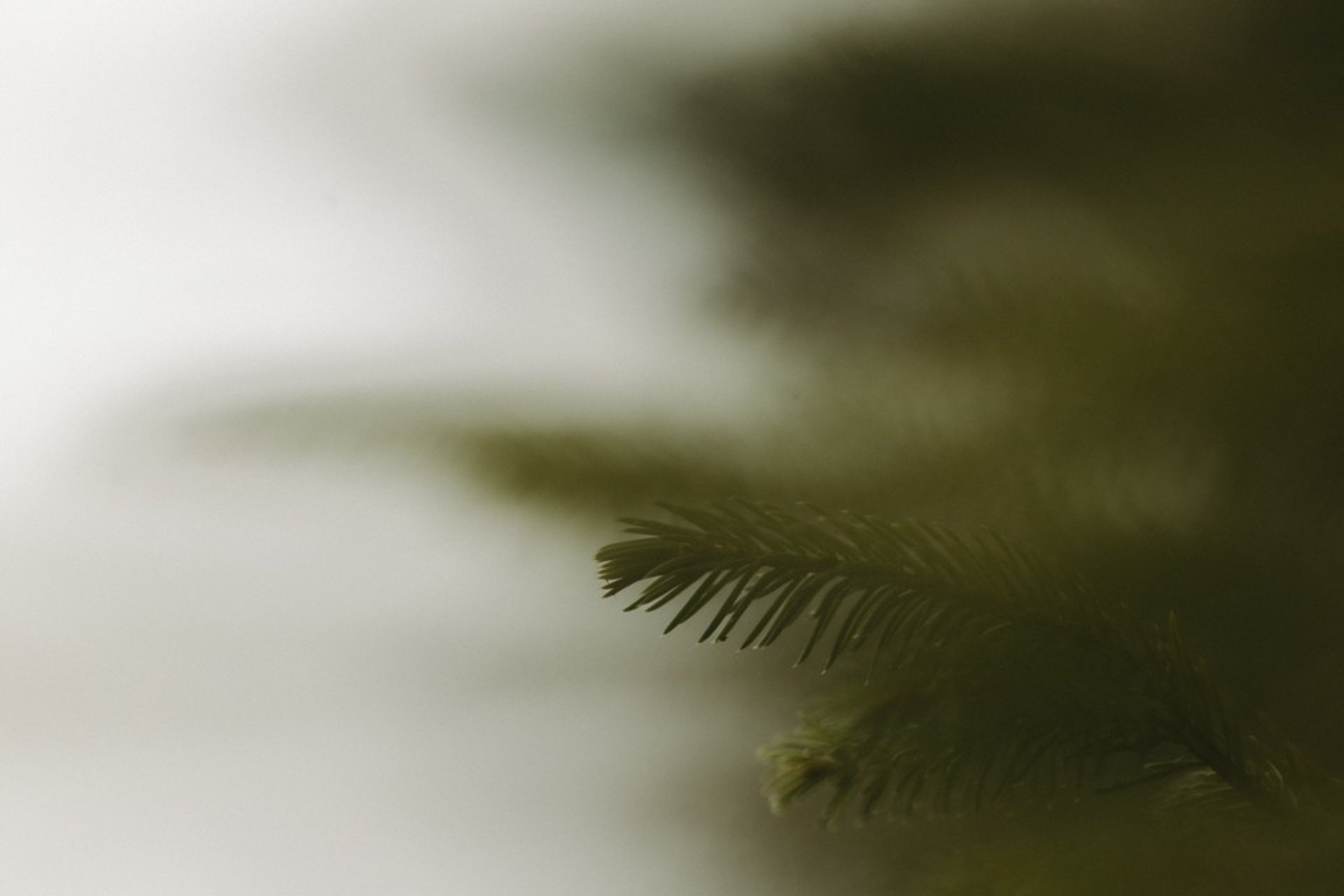 woman wearing yellow long-sleeved dress under white clouds and blue sky during daytime