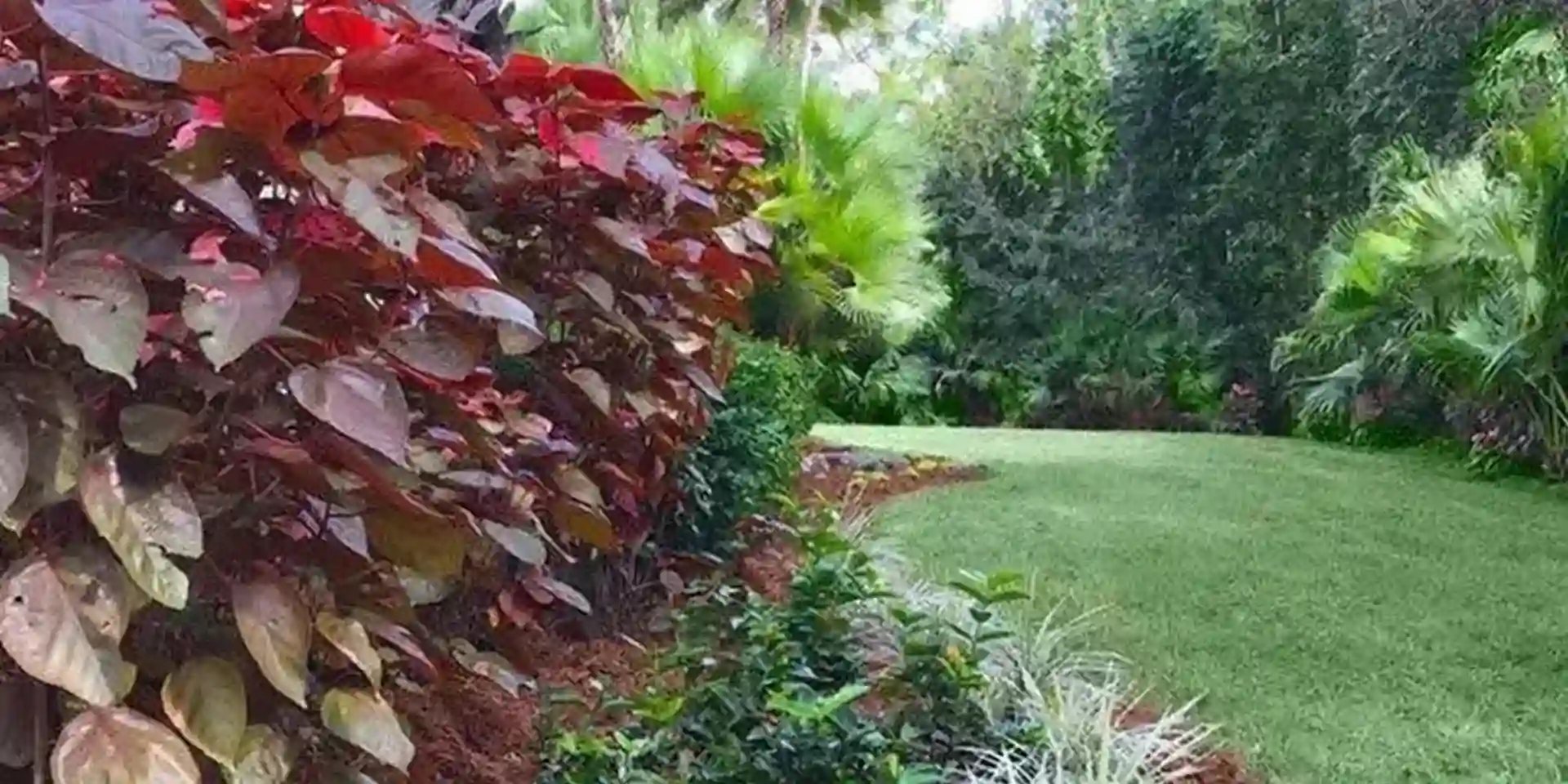 Lawn Care Sebastian FL | Treasure Coast Lawn Care