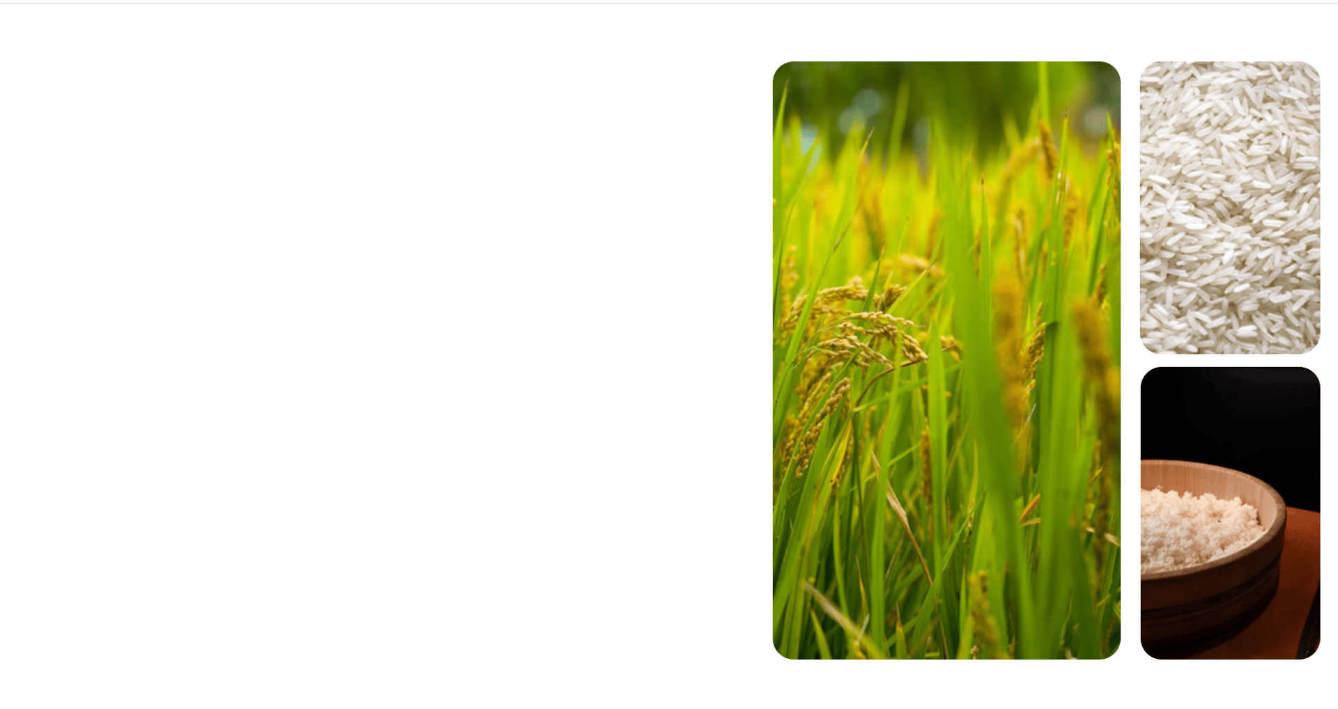 a pile of white rice sitting on top of a table