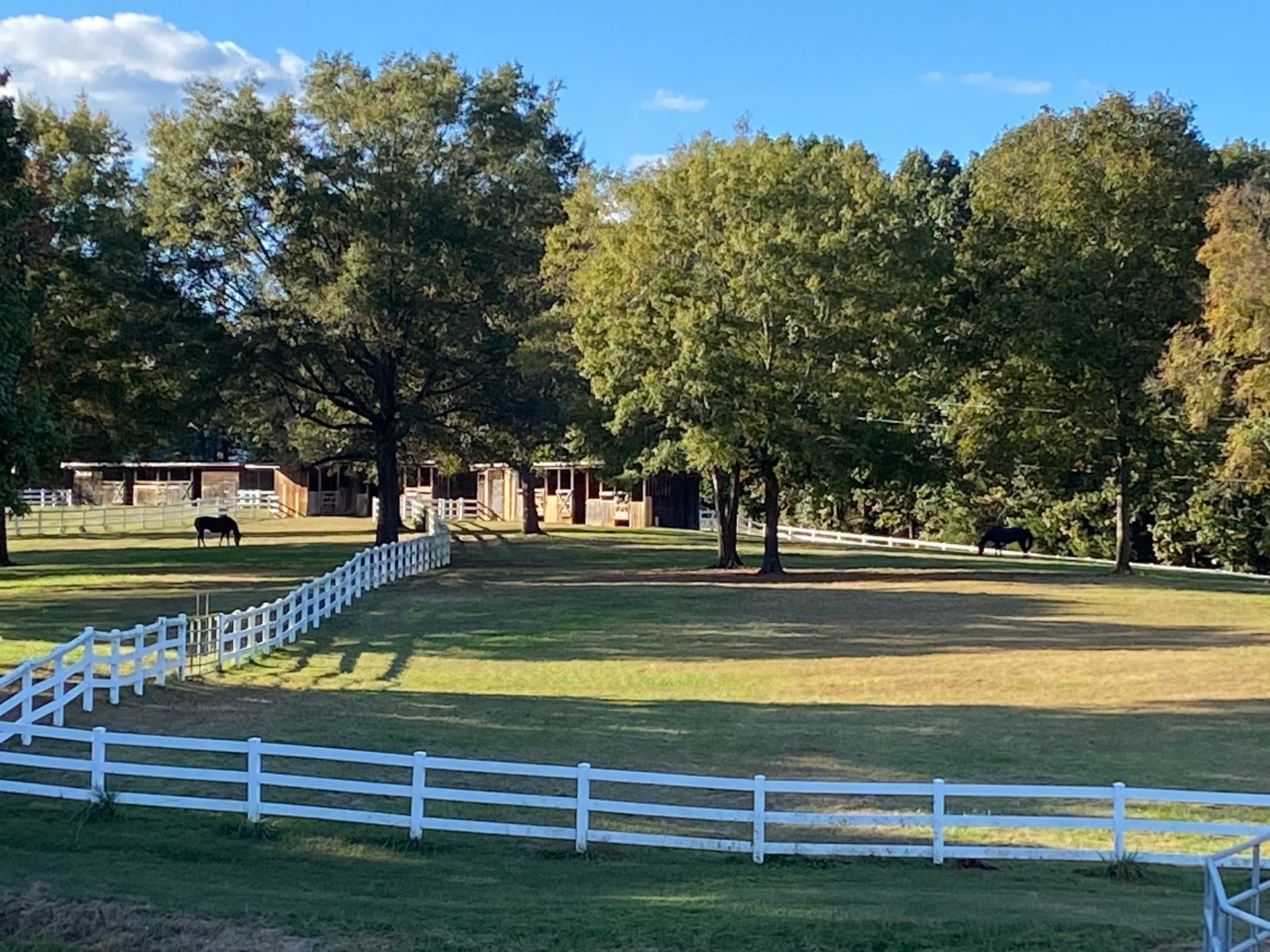 gray computer monitor