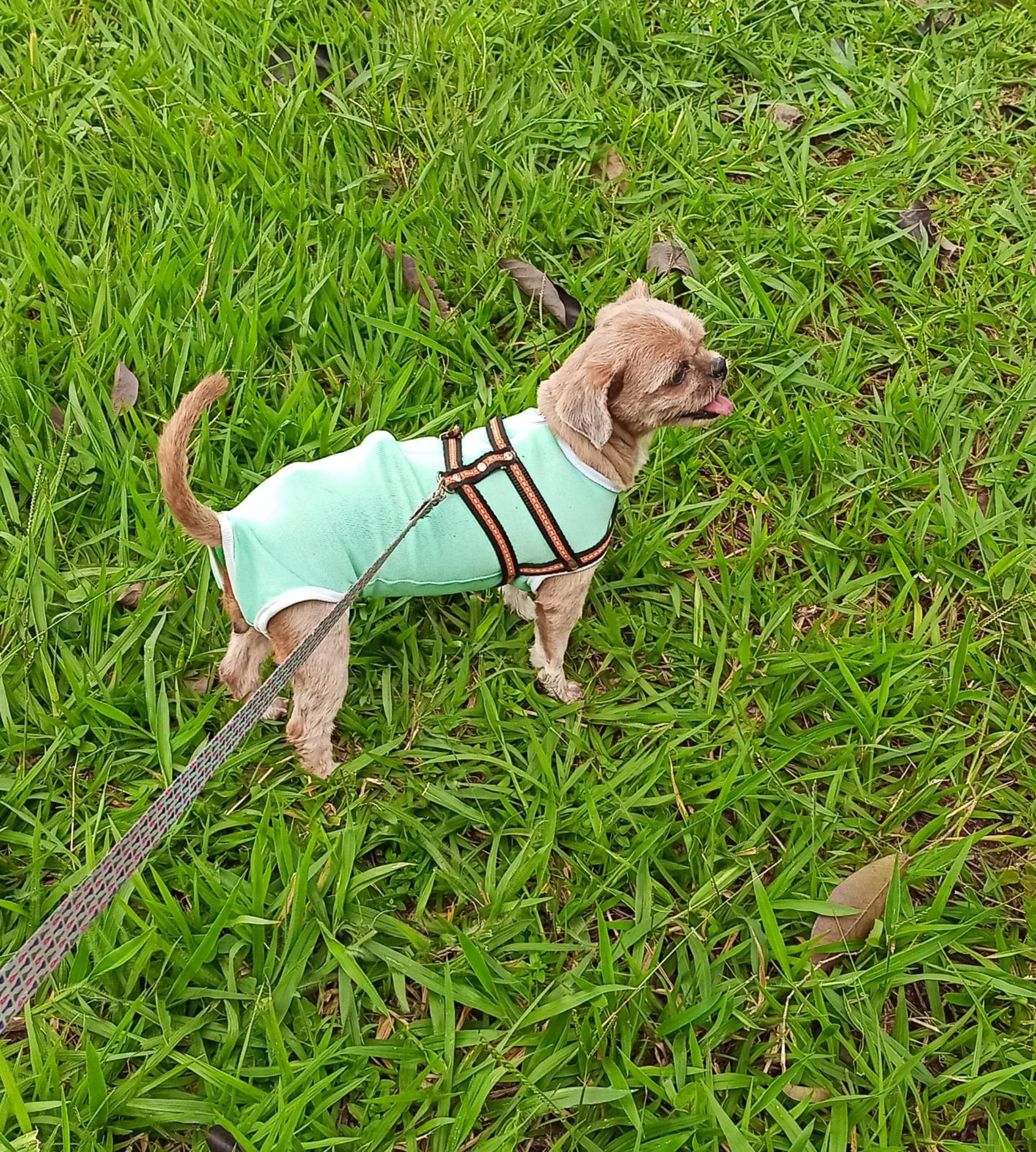 woman wearing yellow long-sleeved dress under white clouds and blue sky during daytime
