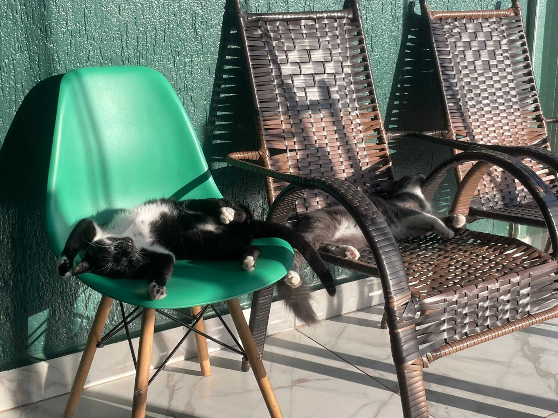 black and white bed linen