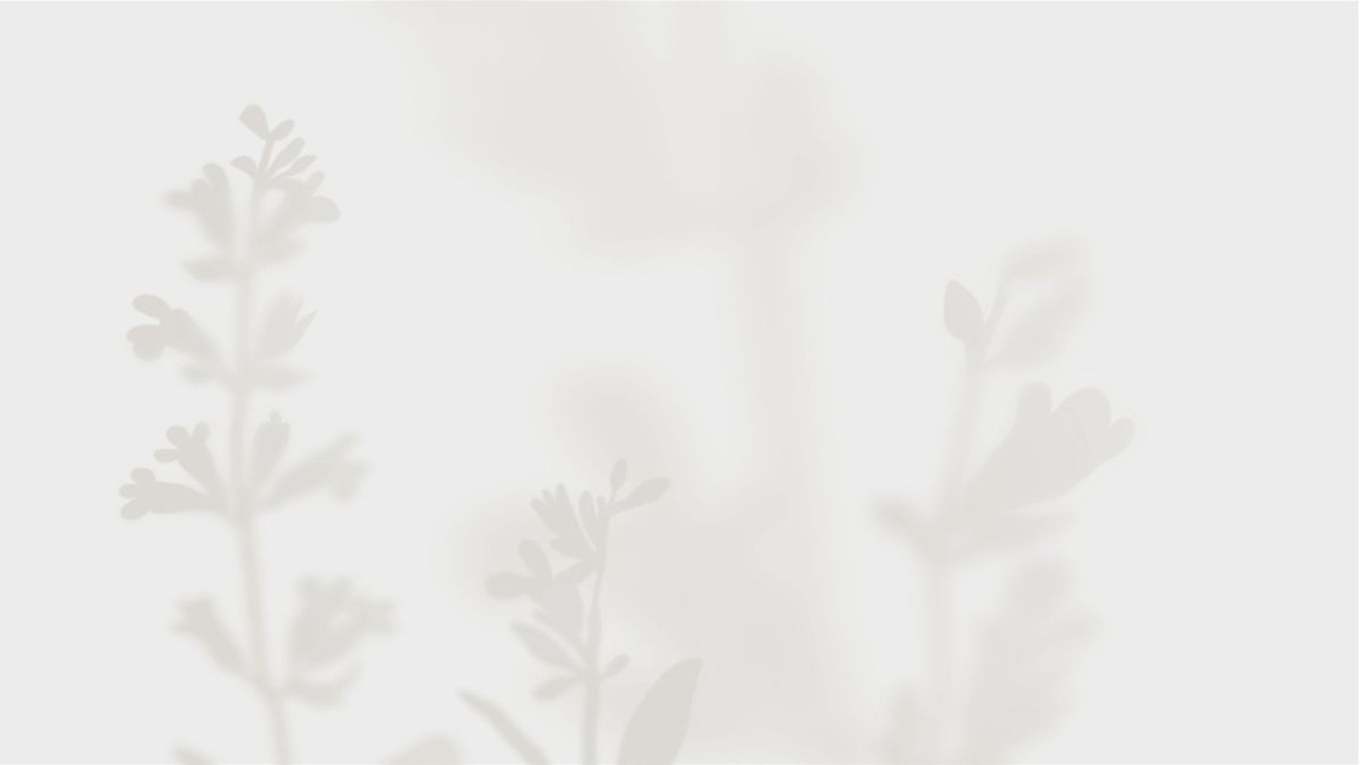 yellow flowers on white wall