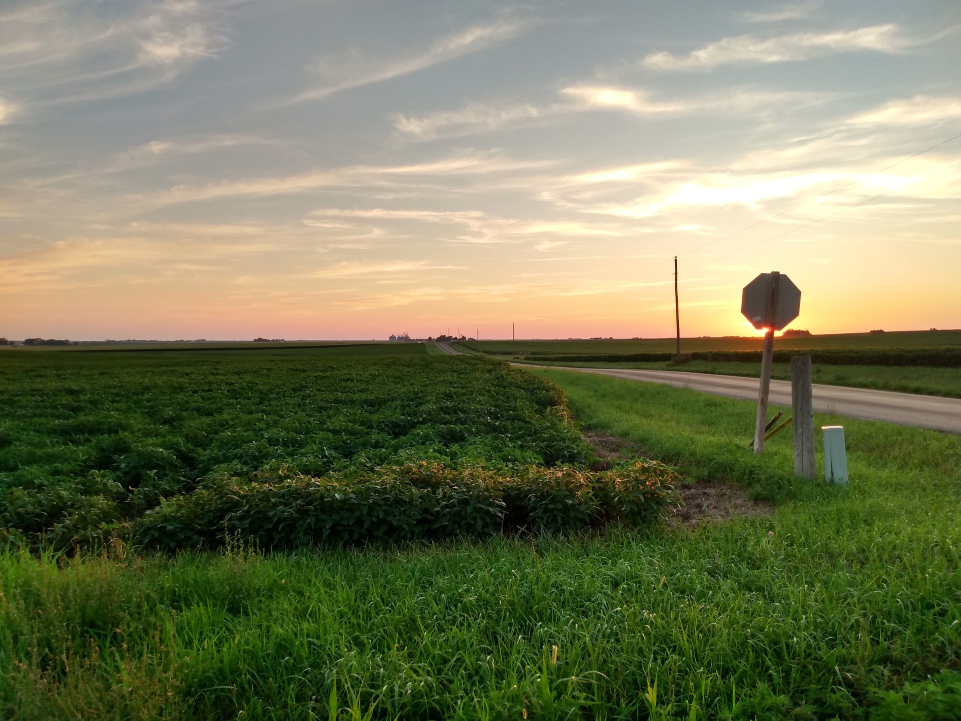 A richly colorful sunset over lush green fields in rural Illinois