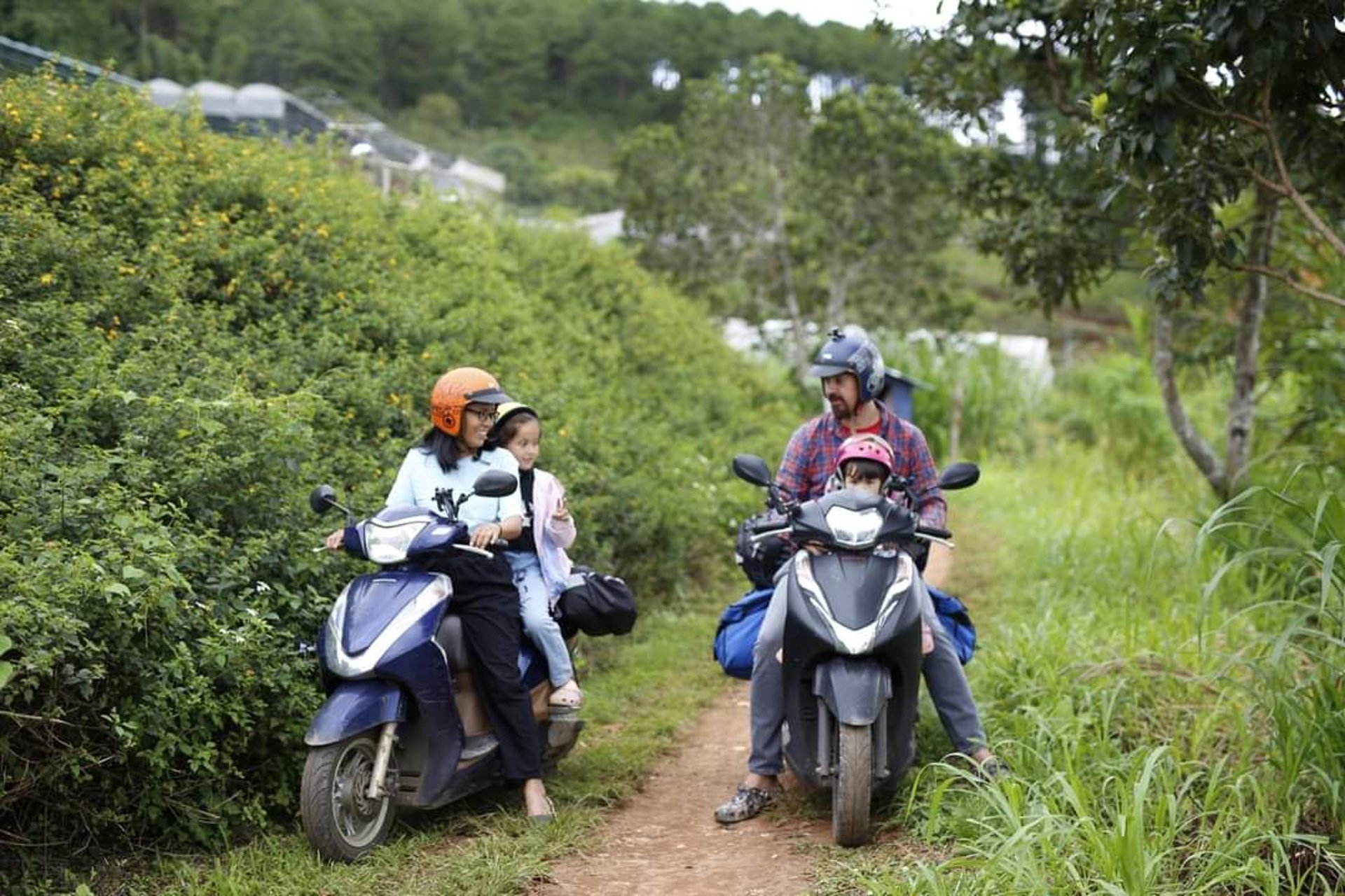black blue and yellow textile