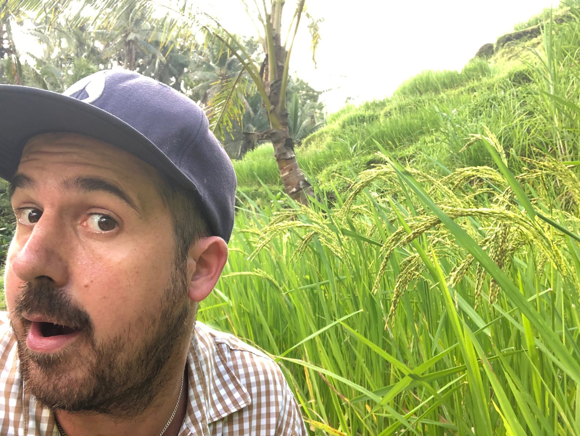 black blue and yellow textile