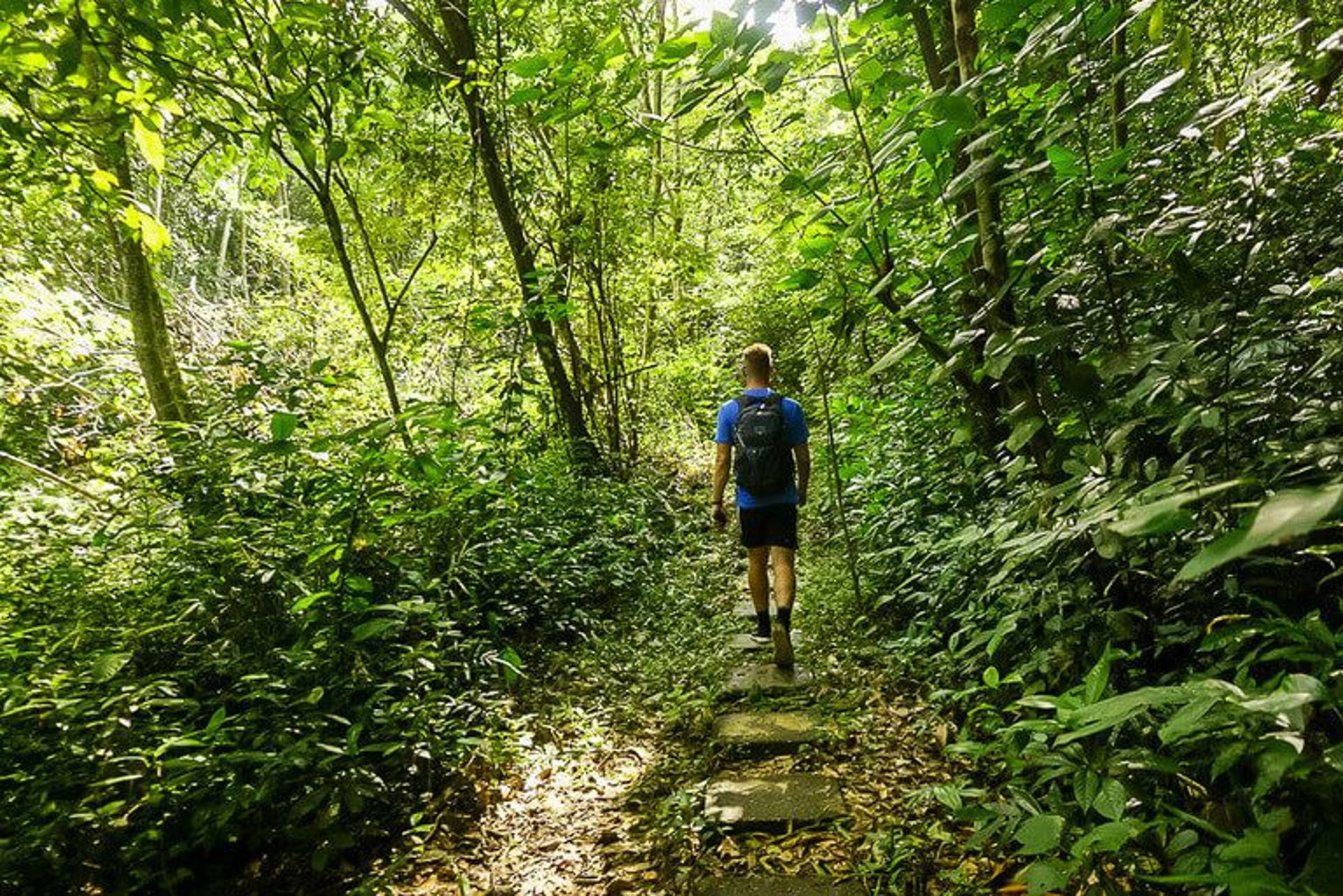 an abstract photo of a curved building with a blue sky in the background
