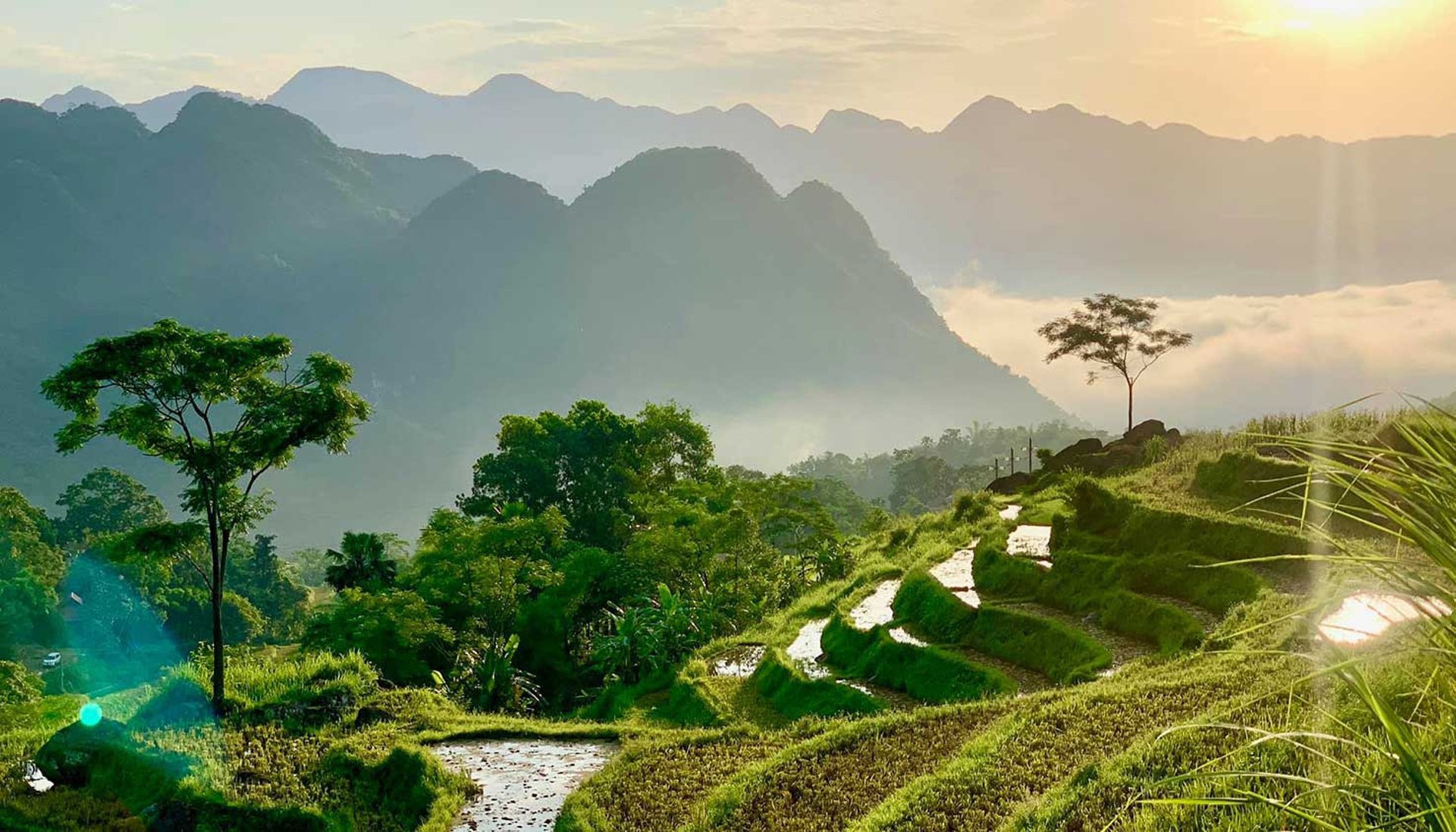 white and red paper lanterns