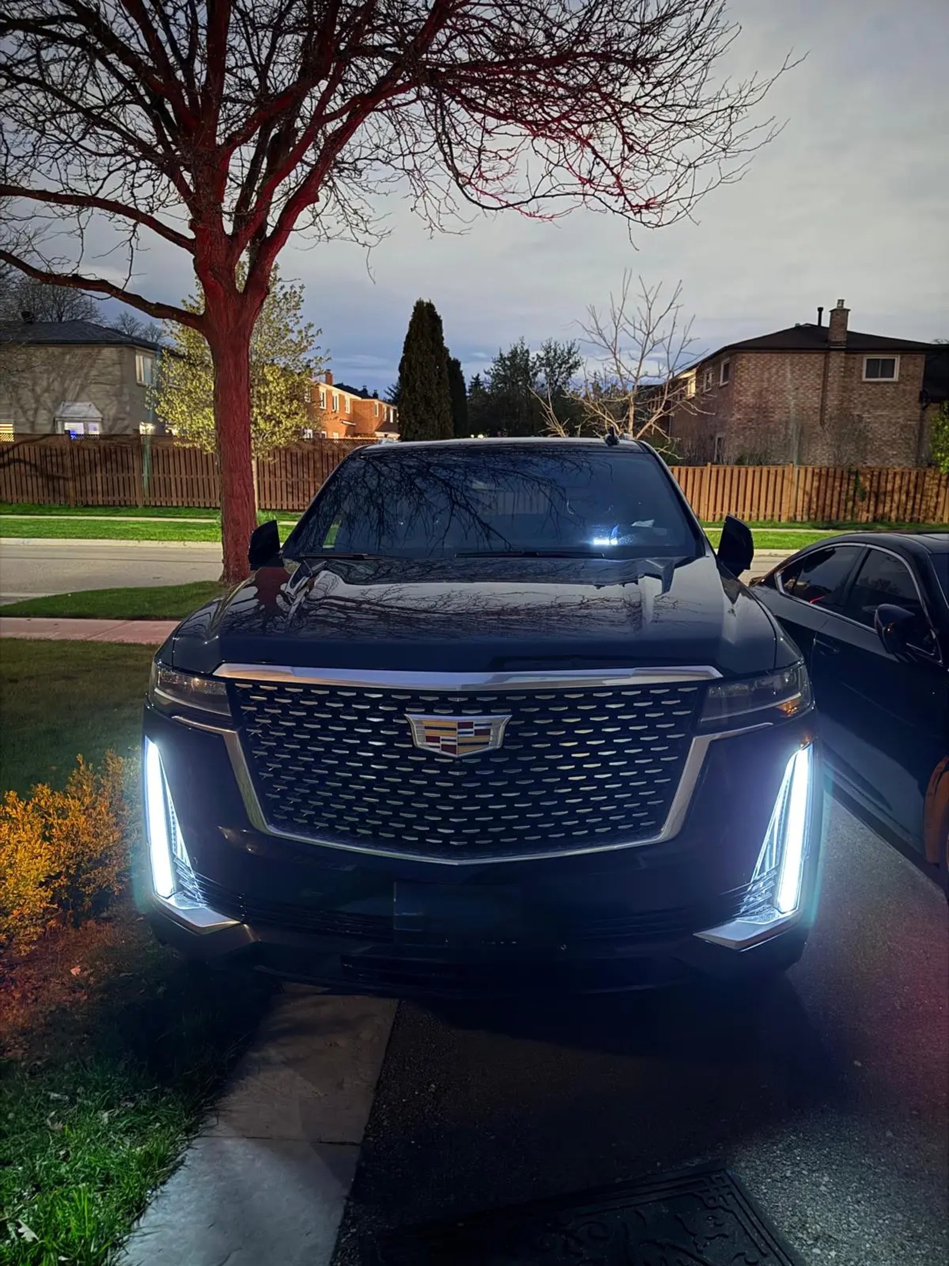 Cadillac Escalade chauffeur service in Hamilton Ontario