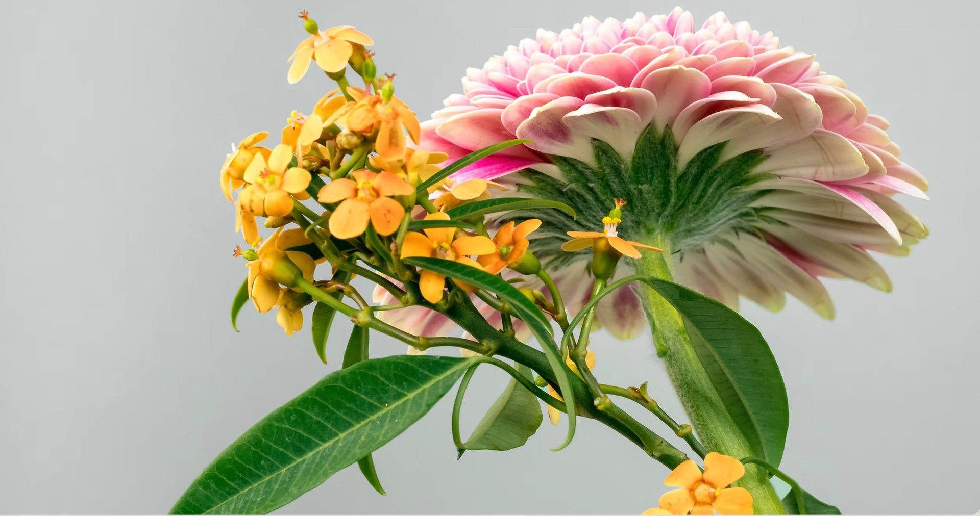 a close up of a black and brown abstract painting